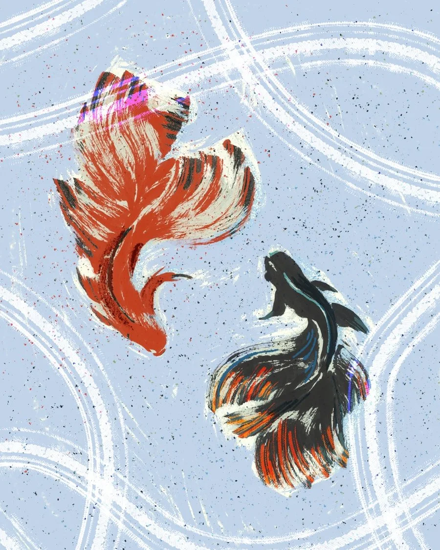 Two flowing betta fish, one orange and one dark with orange accents, swim in textured pale blue water with sweeping white streaks.