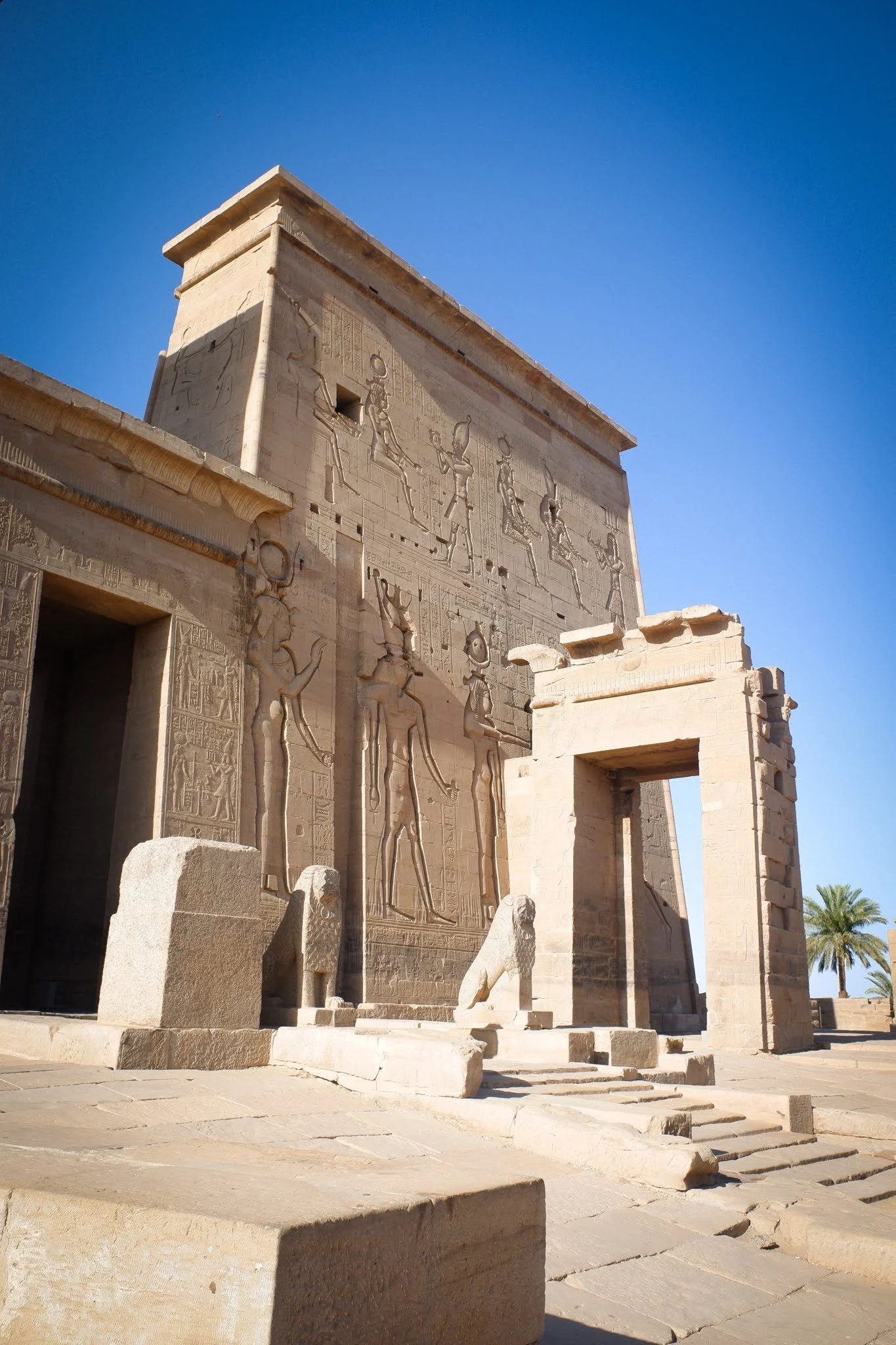 Egypt_2021_web-081.jpg