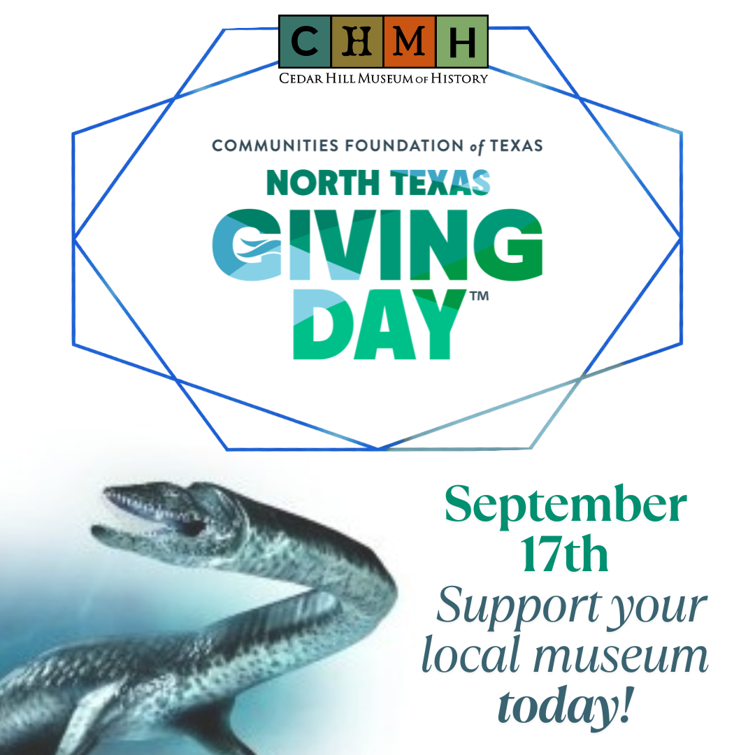 North Texas Giving Day