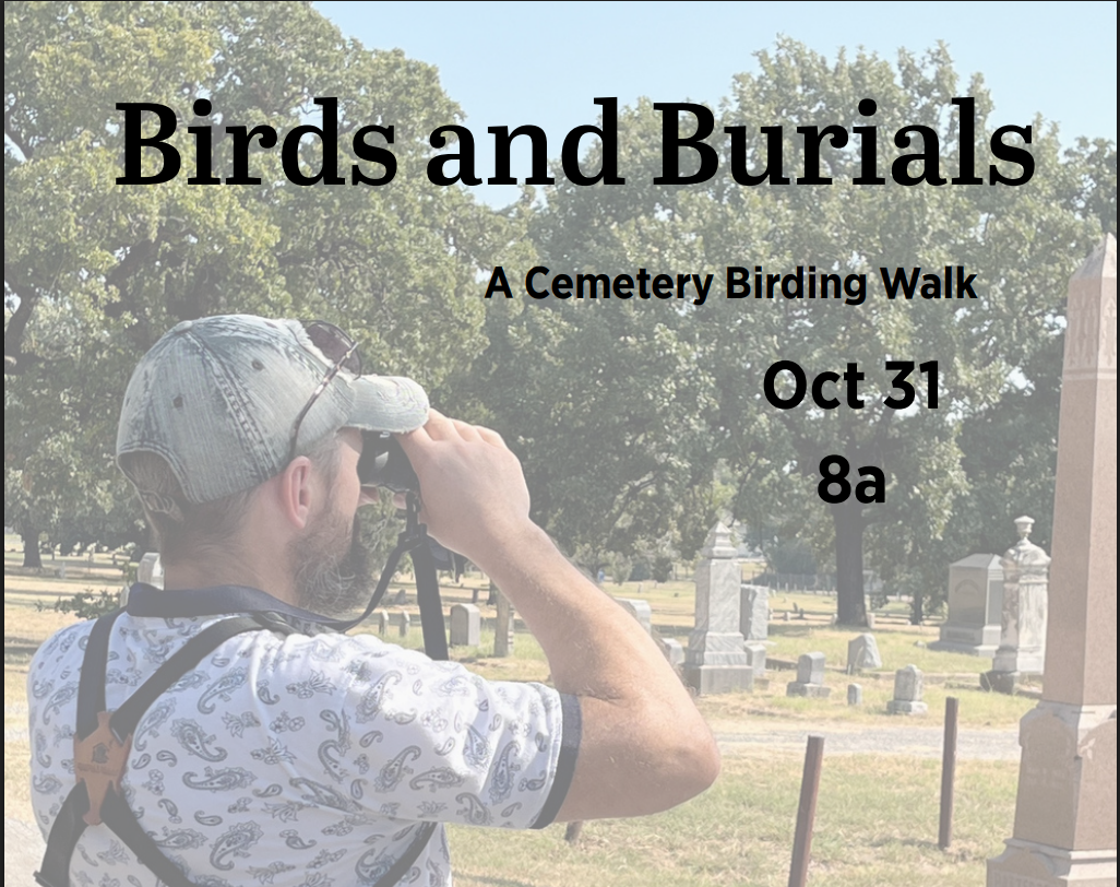 Birds & Burials
