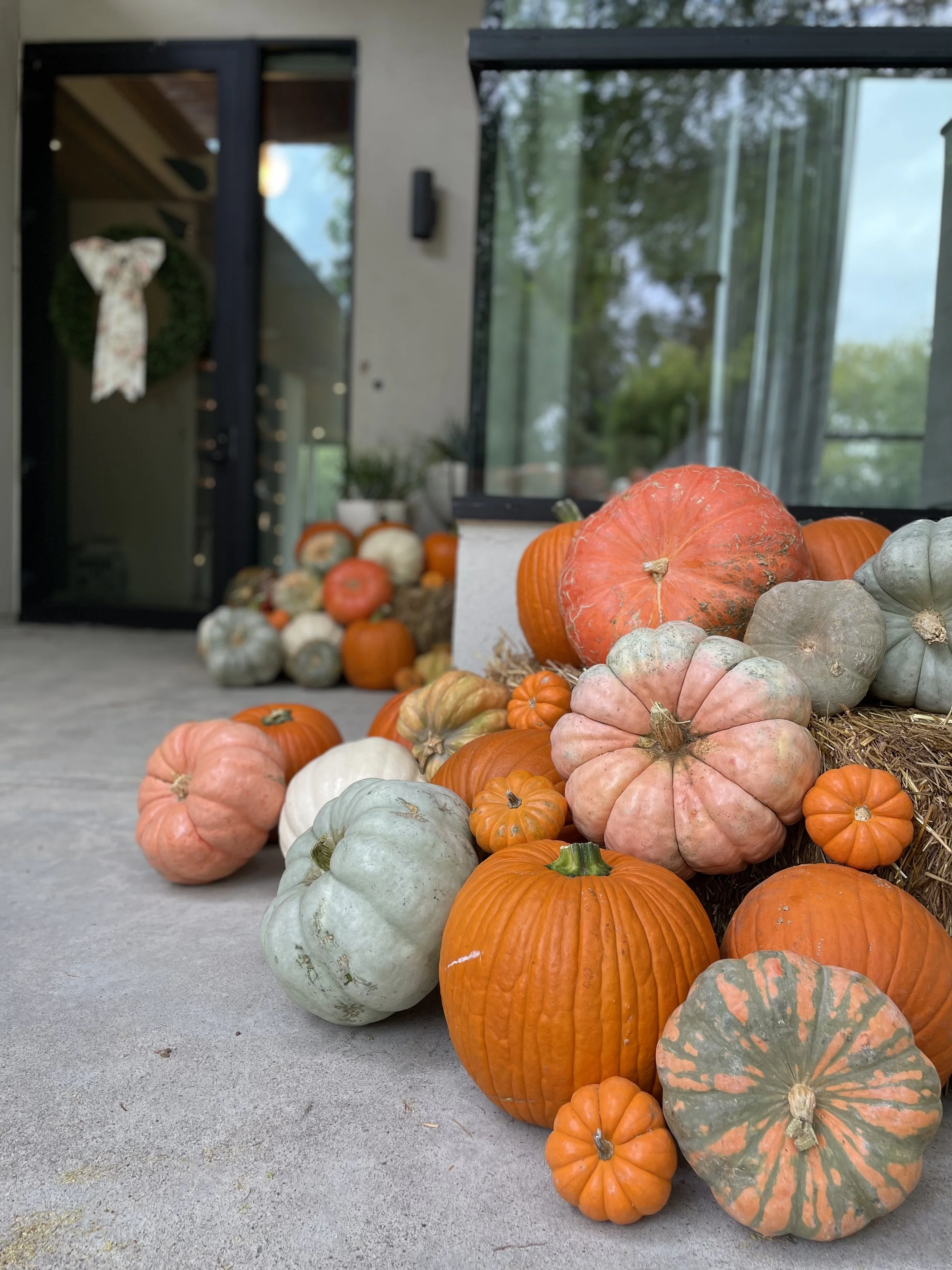 2026-10-12 10.17.17.jpg