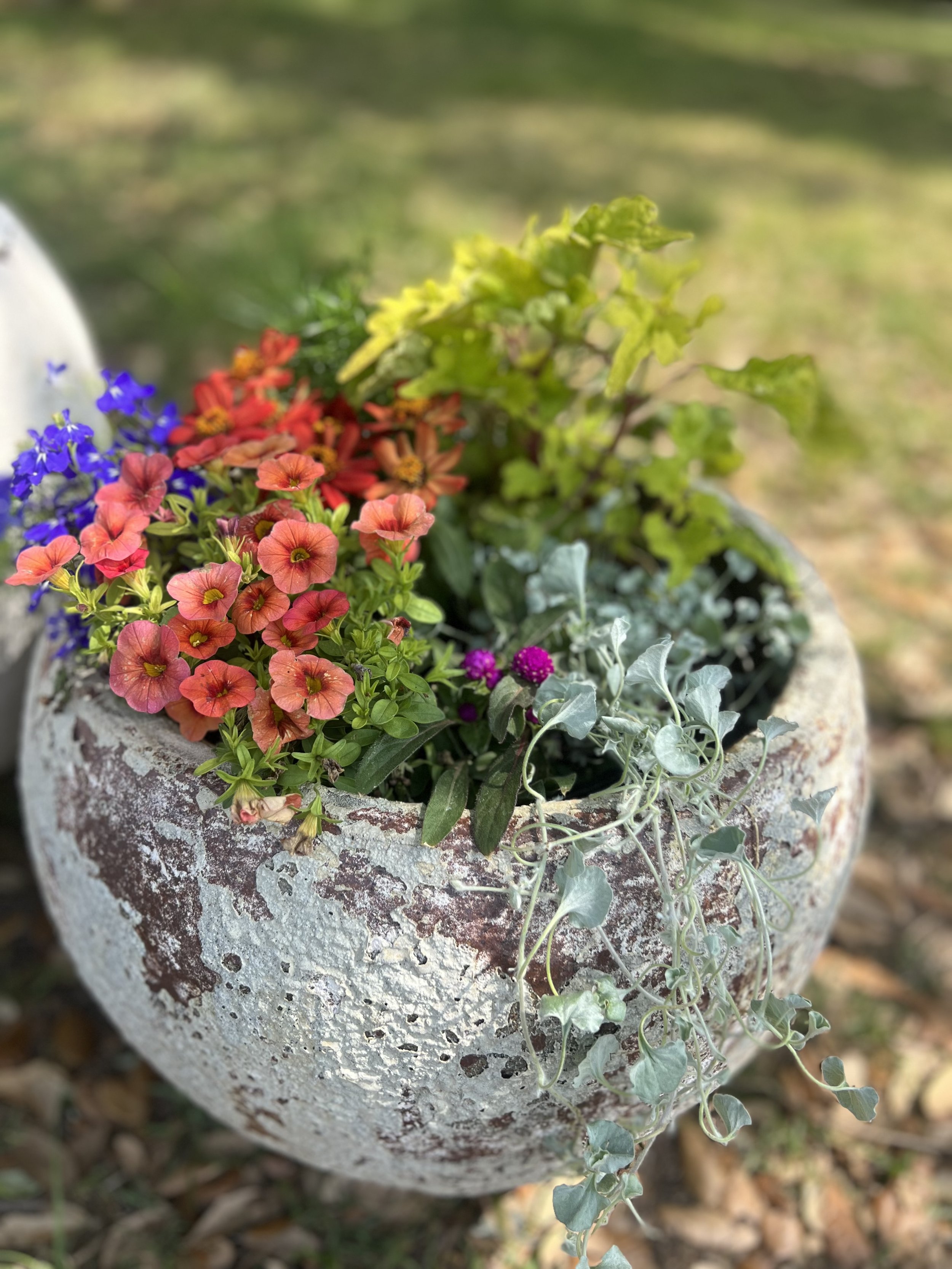IMG_0328.jpeg