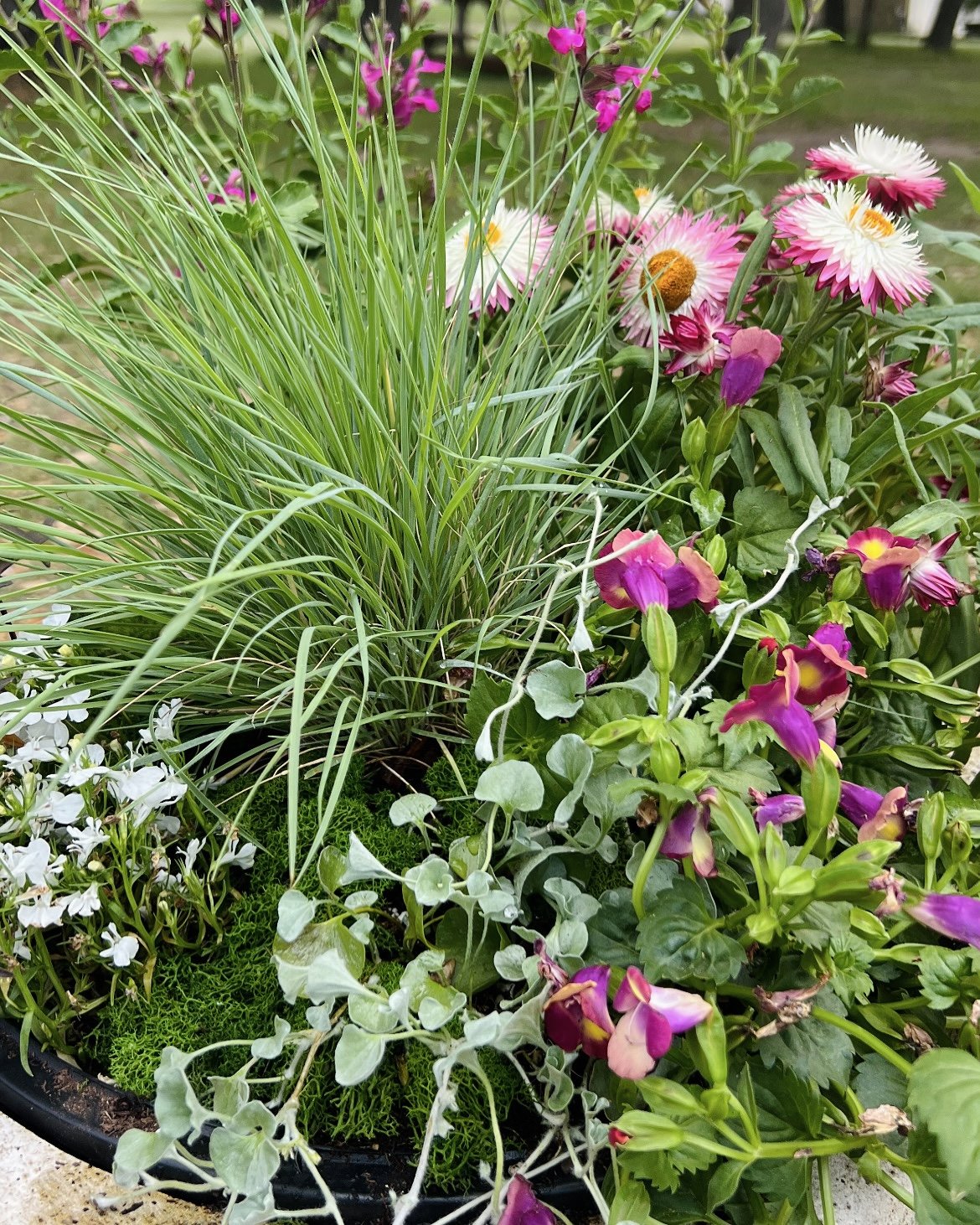 Additional Flowerpot Inserts