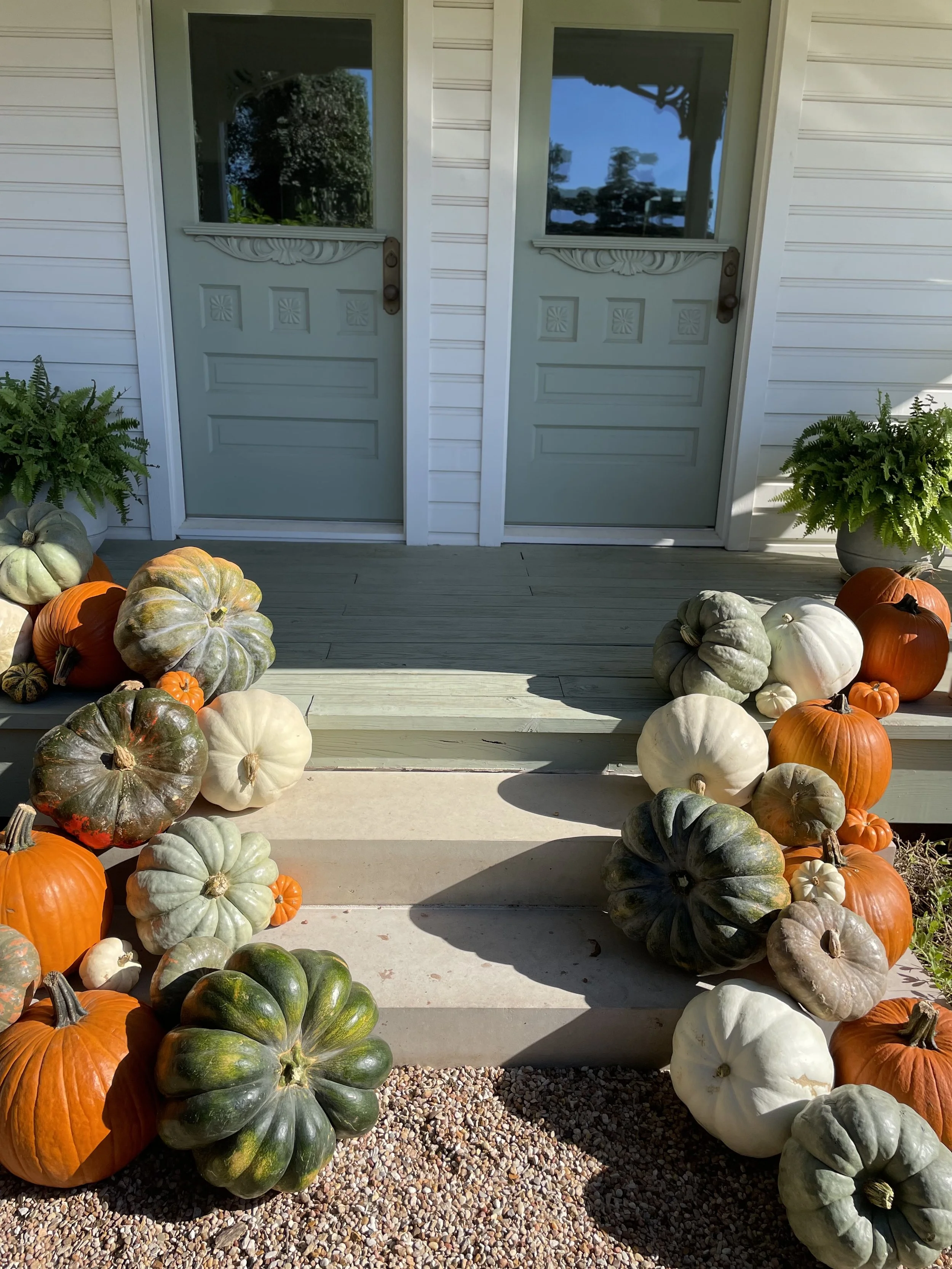 2026-10-10 10.14.13.jpg
