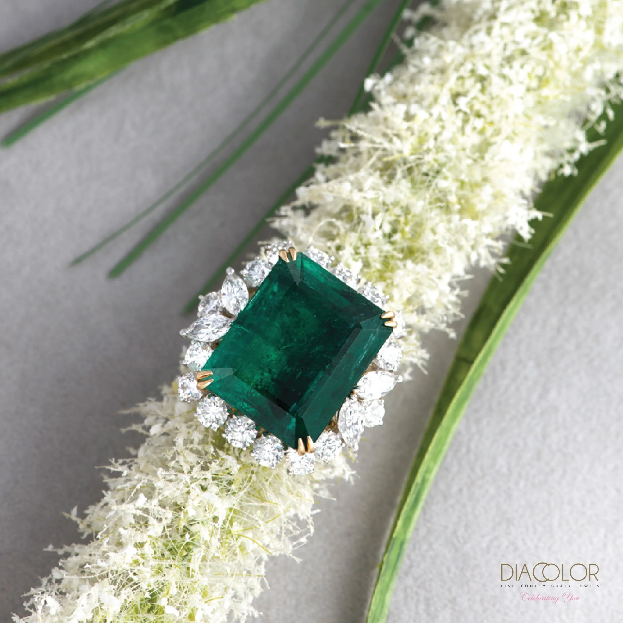 AD SS Website-20.jpg