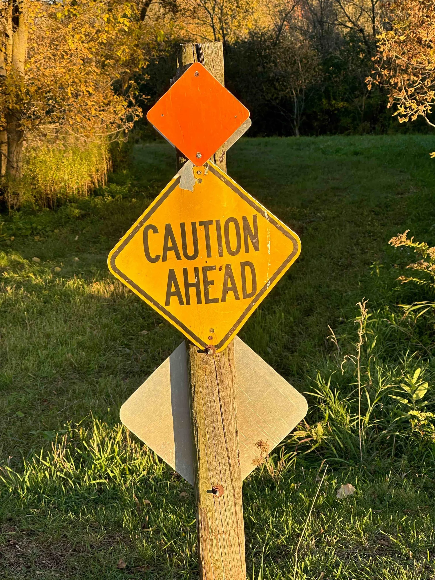 Proceed with Caution episode artwork