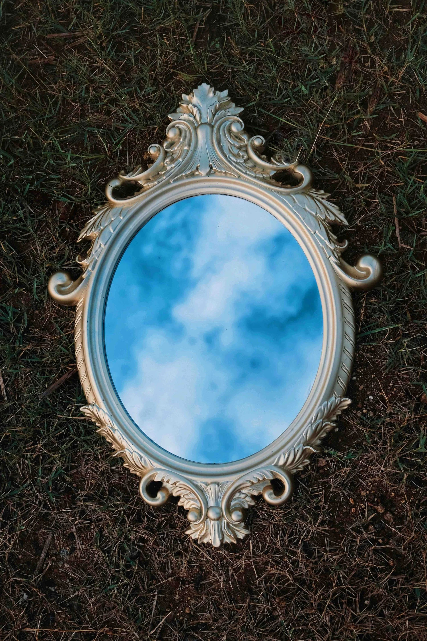 The Year of  the Mirror episode artwork