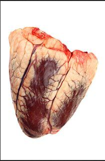 beef heart.png
