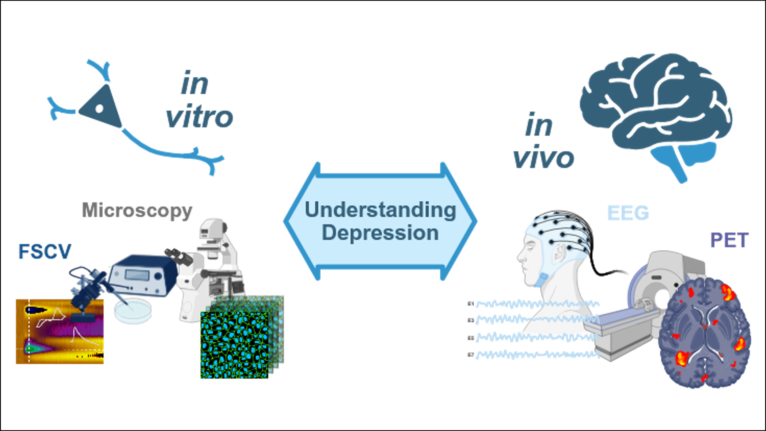 DJH Postdoc Collaboration 