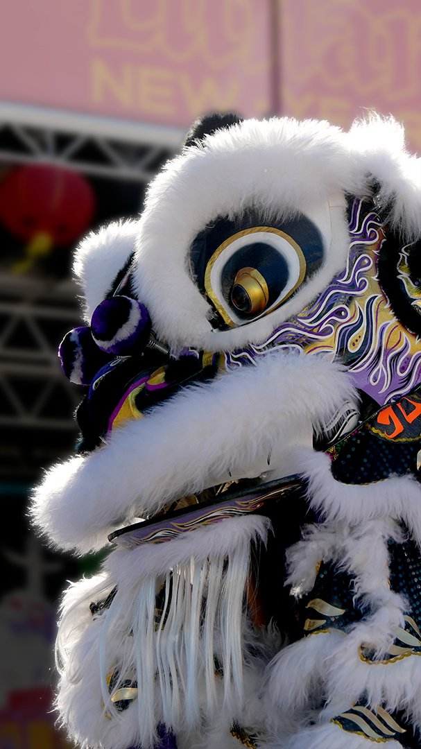 chinatown-lion.jpg
