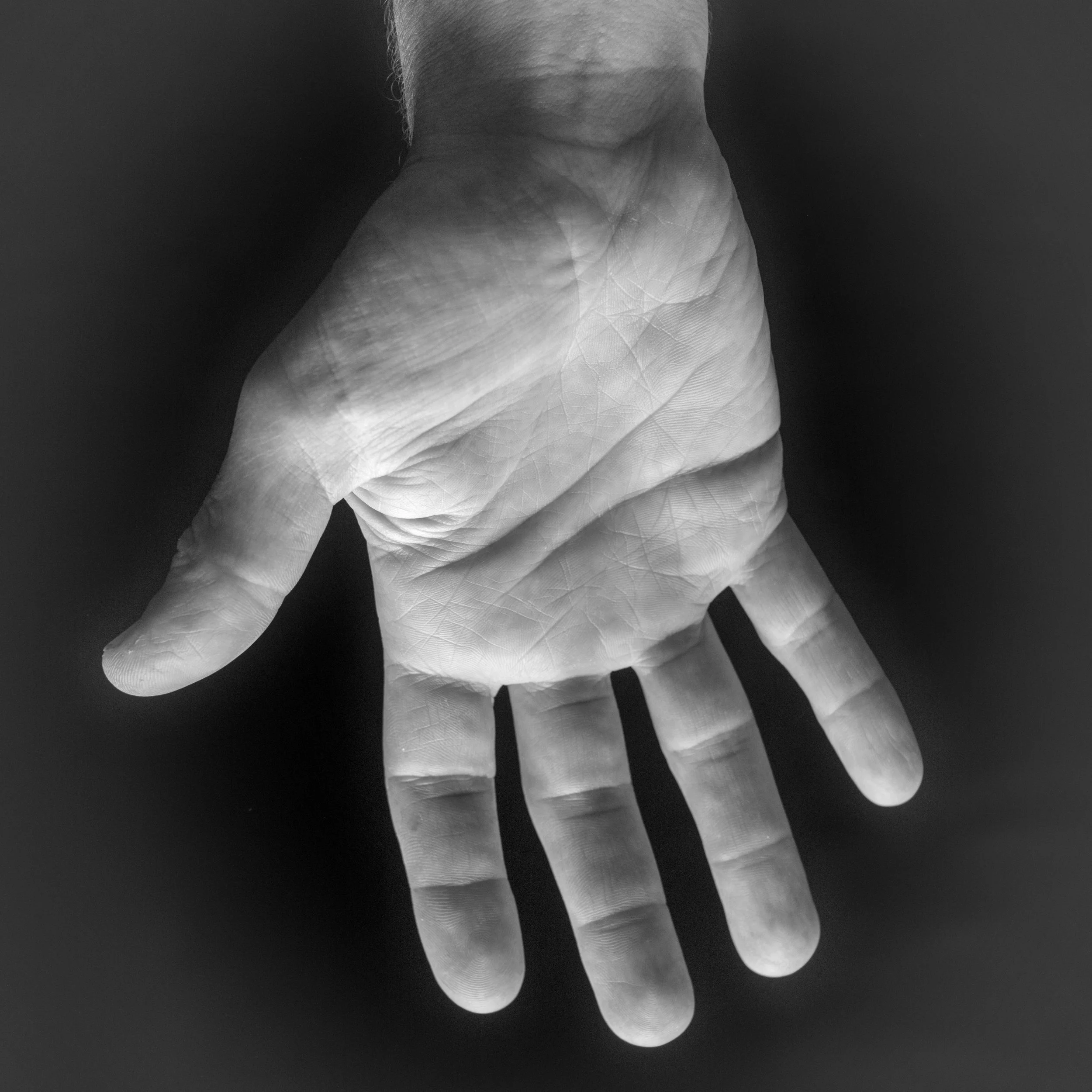5. Palm Readers
