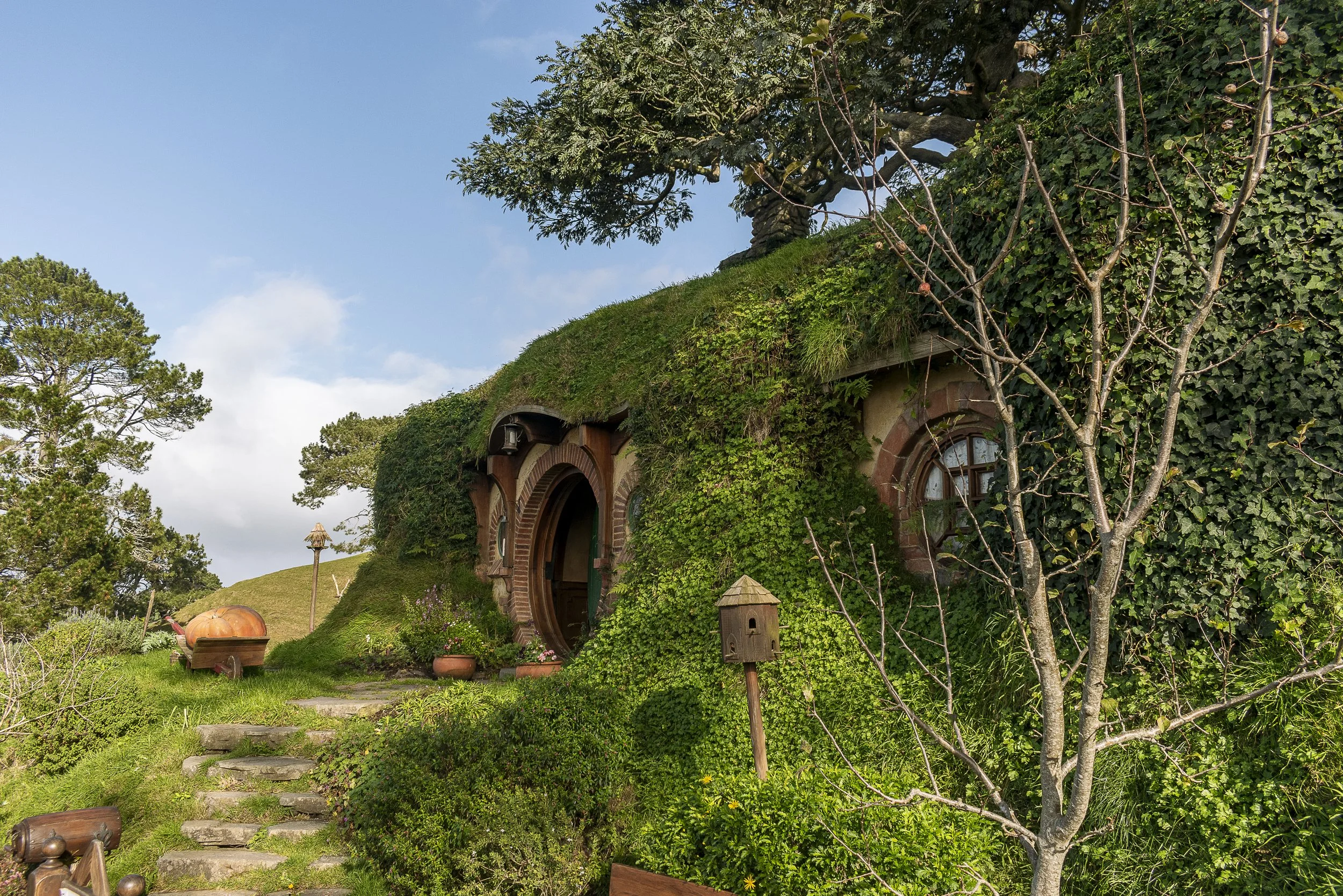 Nguyen_Khai Hobbiton-24.jpg