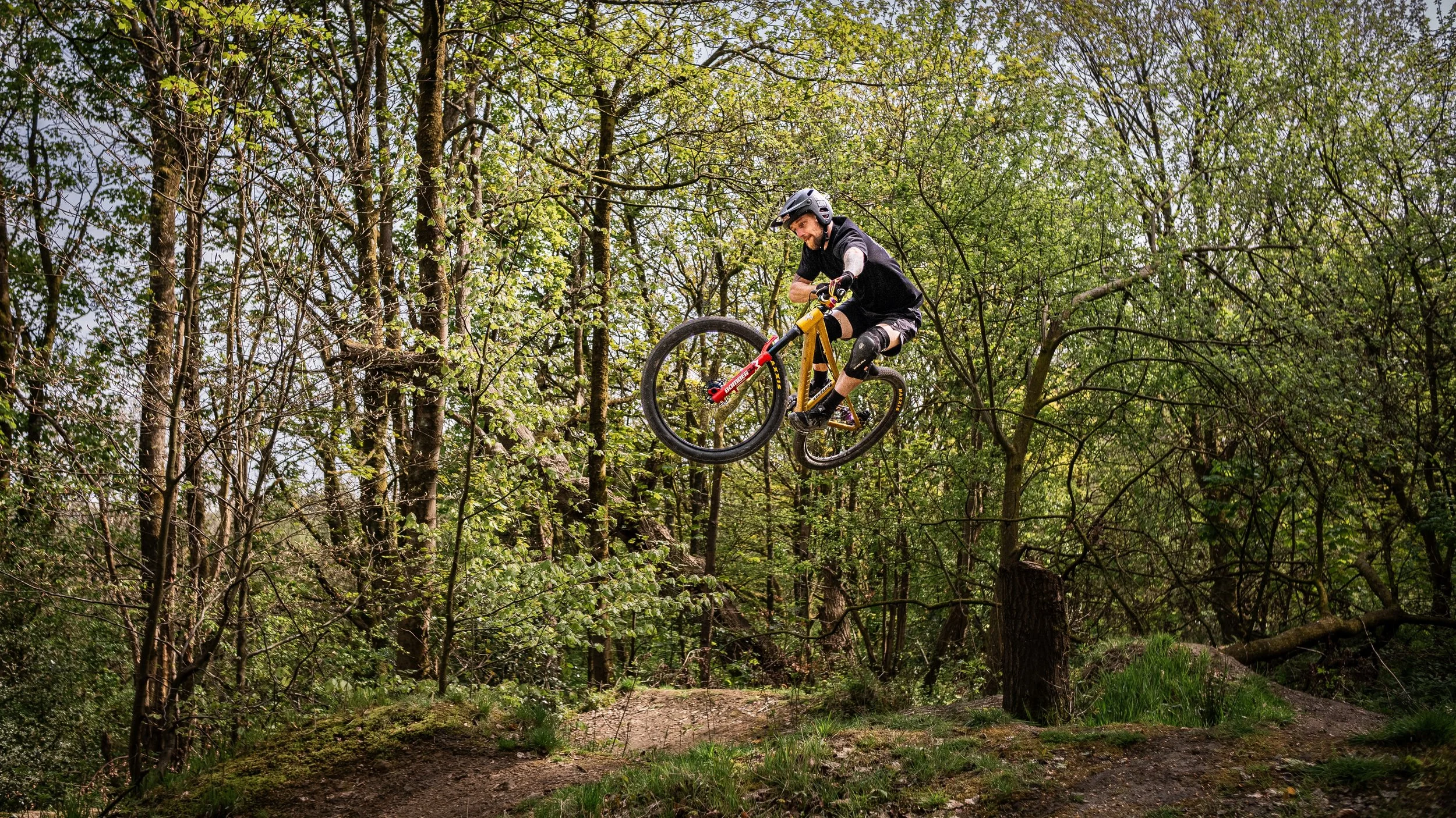 A man wearing a helmet and riding a mountain bike jumps over a trail obstacle in a forested area.