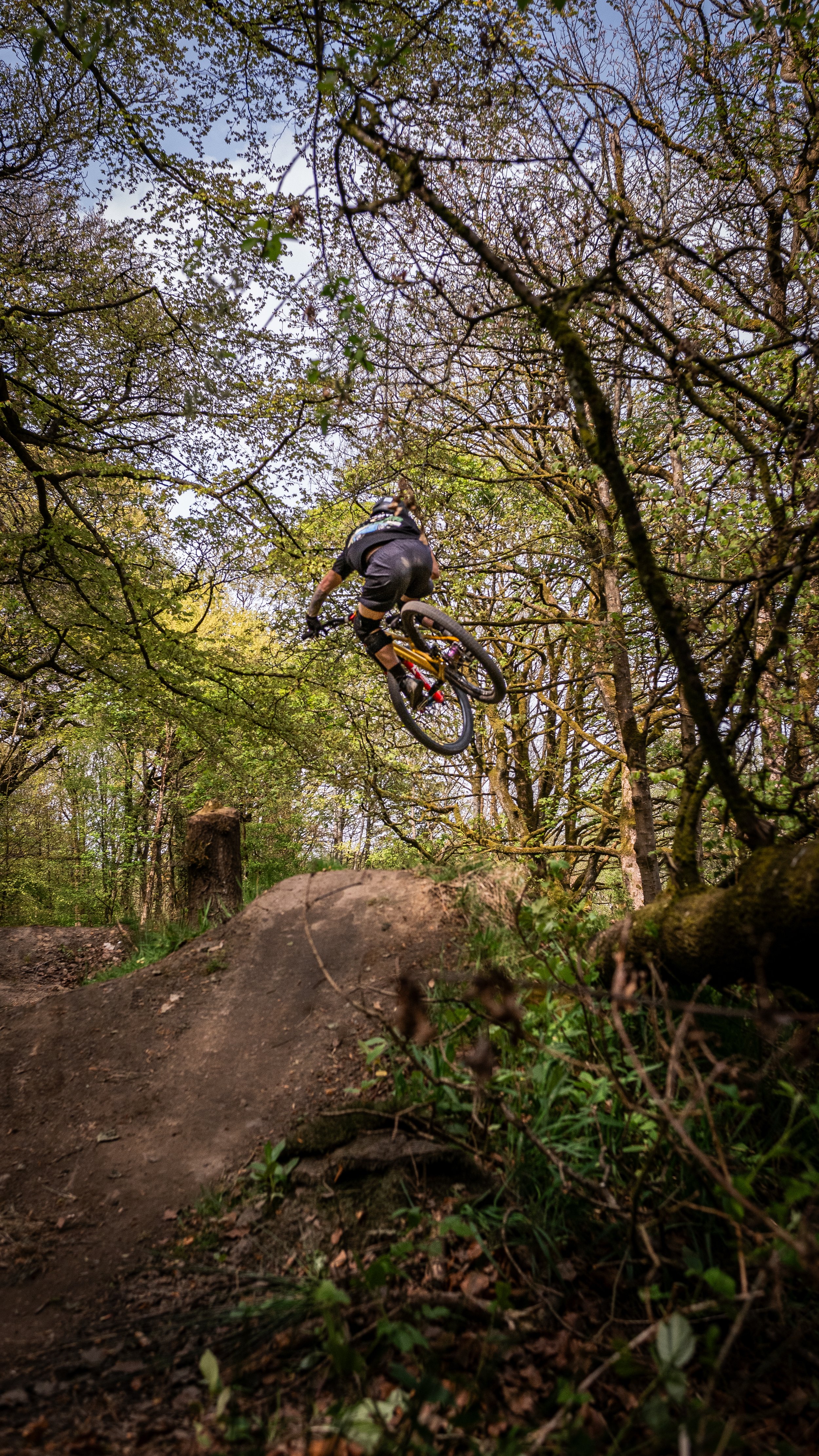 A person riding a mountain bike on a dirt trail in a forest, mid-air over a jump, surrounded by trees with budding leaves.