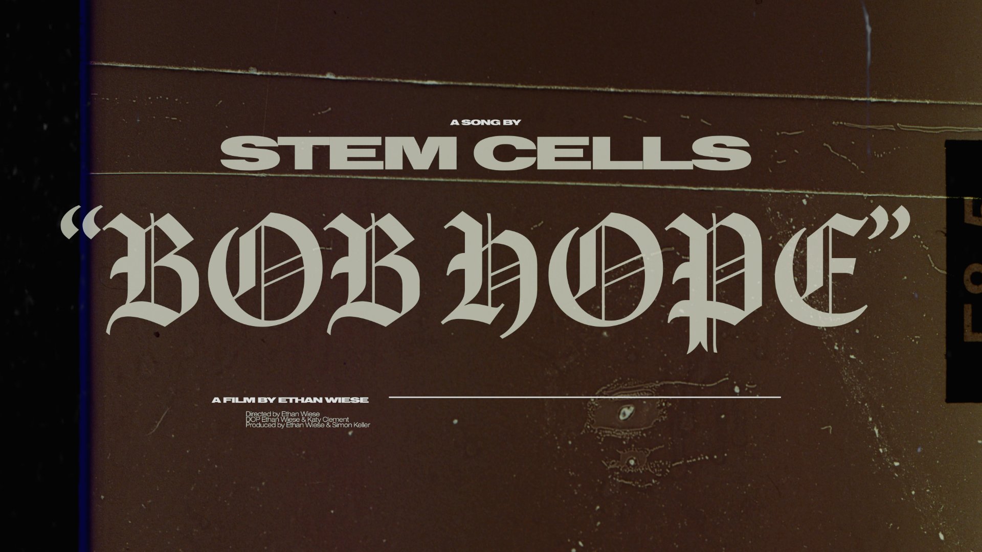 STEM CELLS | “Bob Hope”