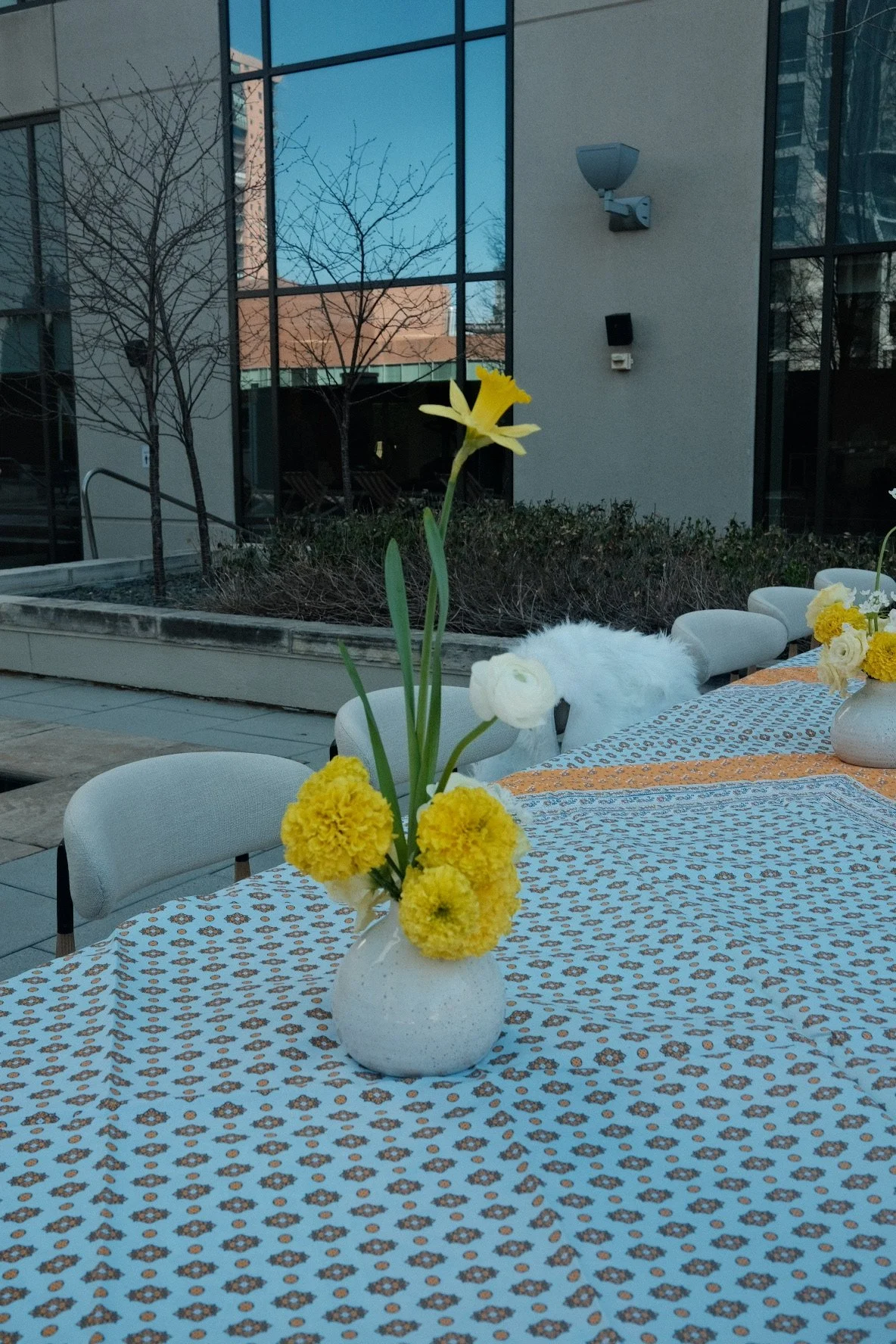 DSCF8653.jpg