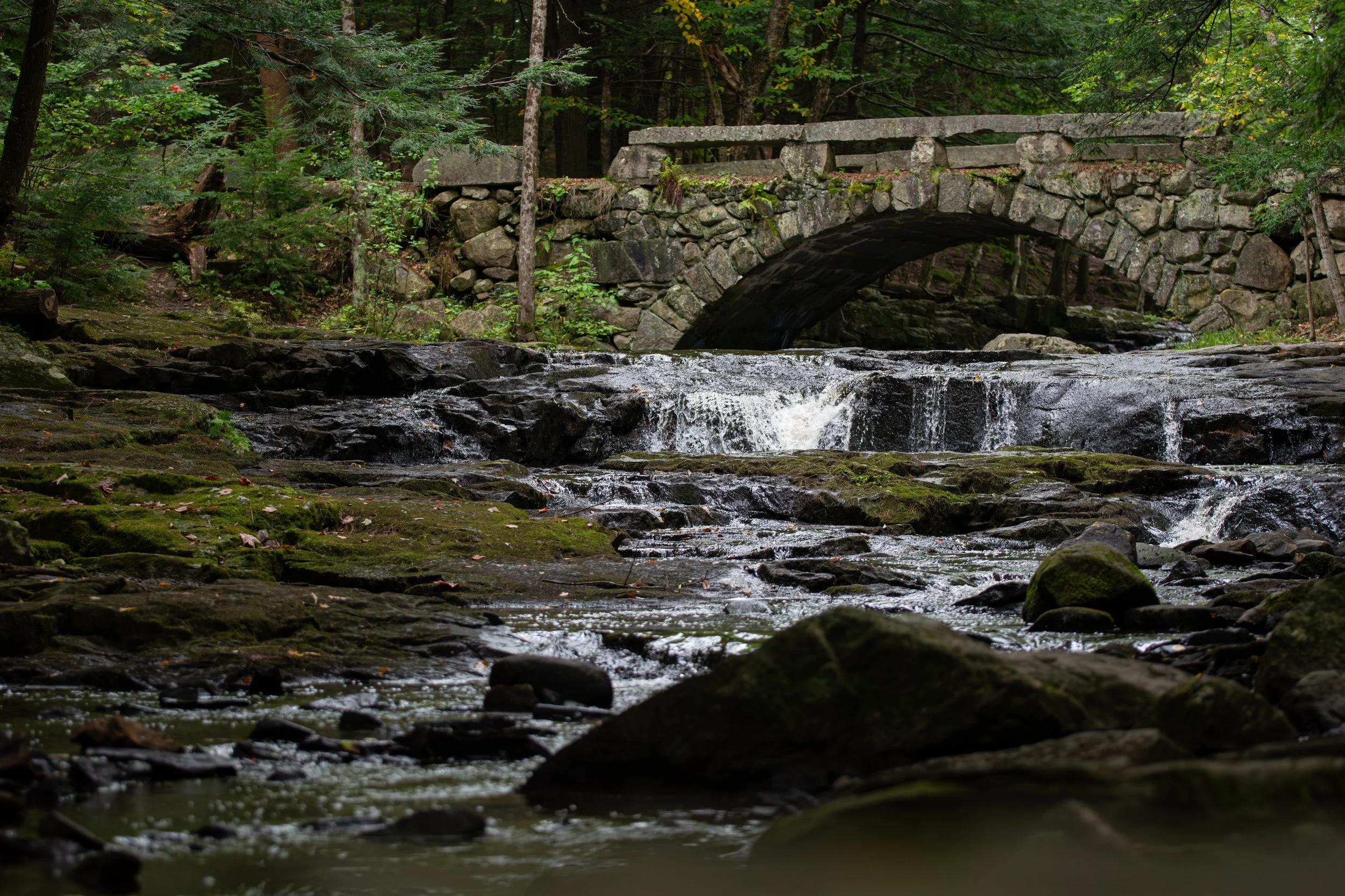 A stone bridge over a flowing creek surrounded by dense green forest.