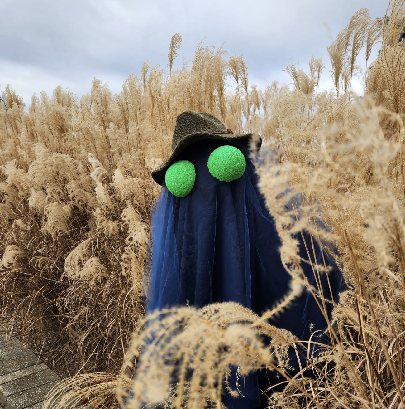 A figure wearing a gray hat, a blue cape, and green fuzzy eye covers, standing among tall beige reeds in an outdoor setting with an overcast sky.