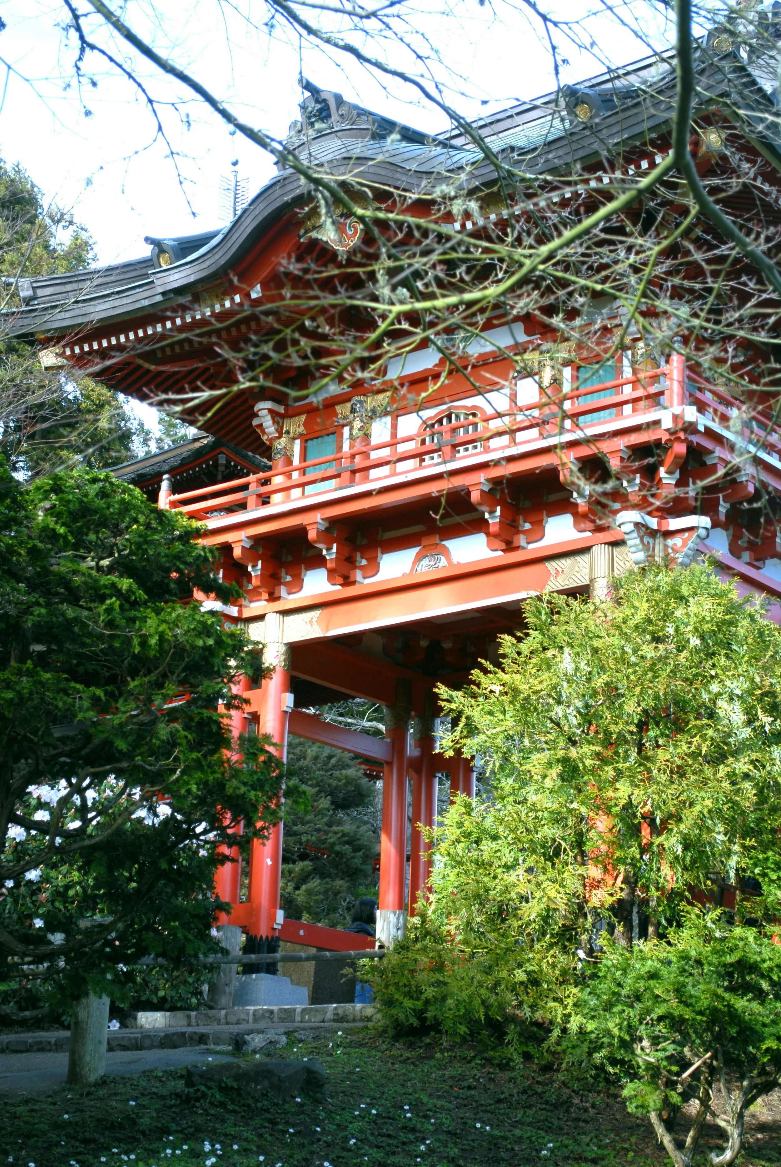 DSC_0288.jpg