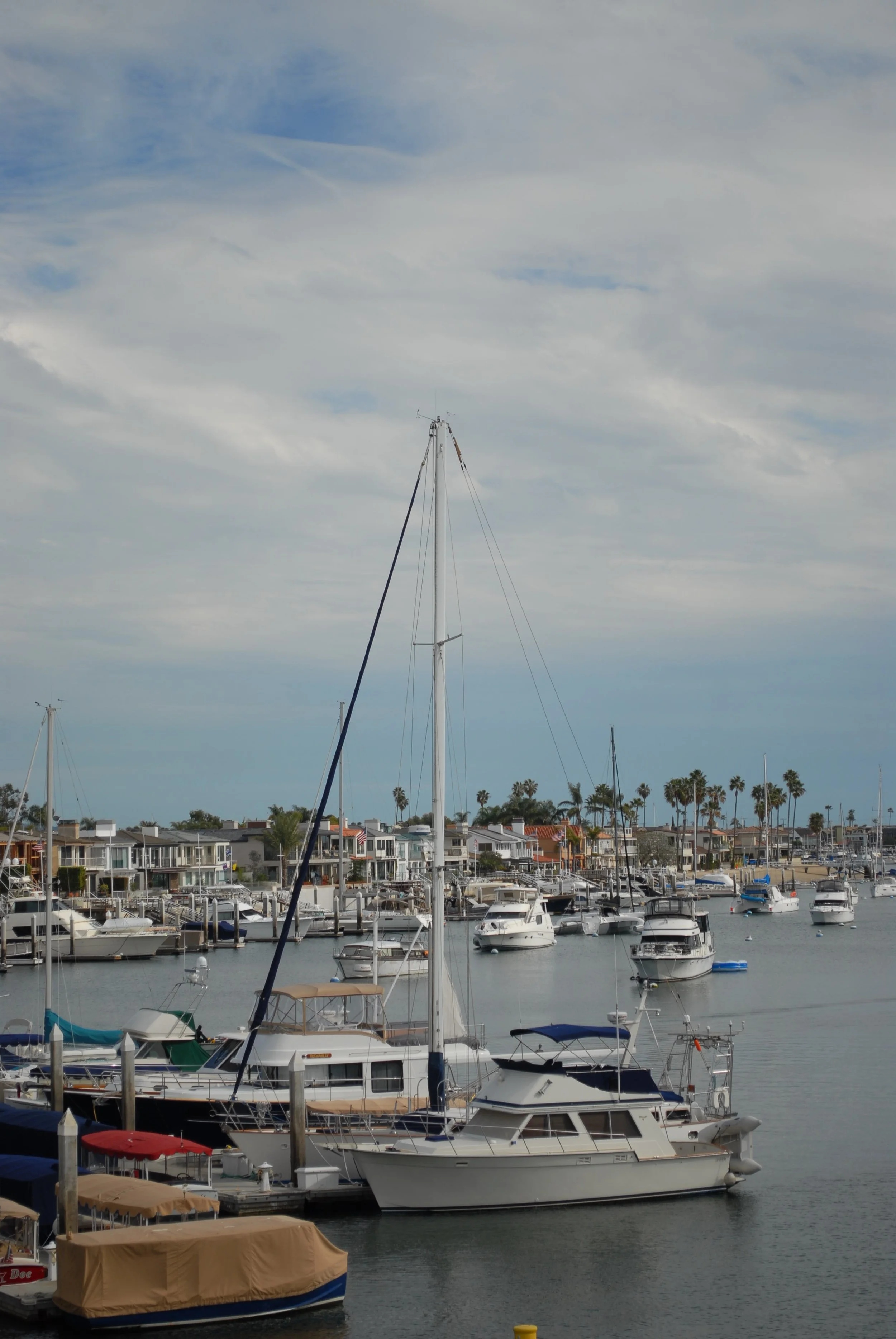 DSC_0583.jpg