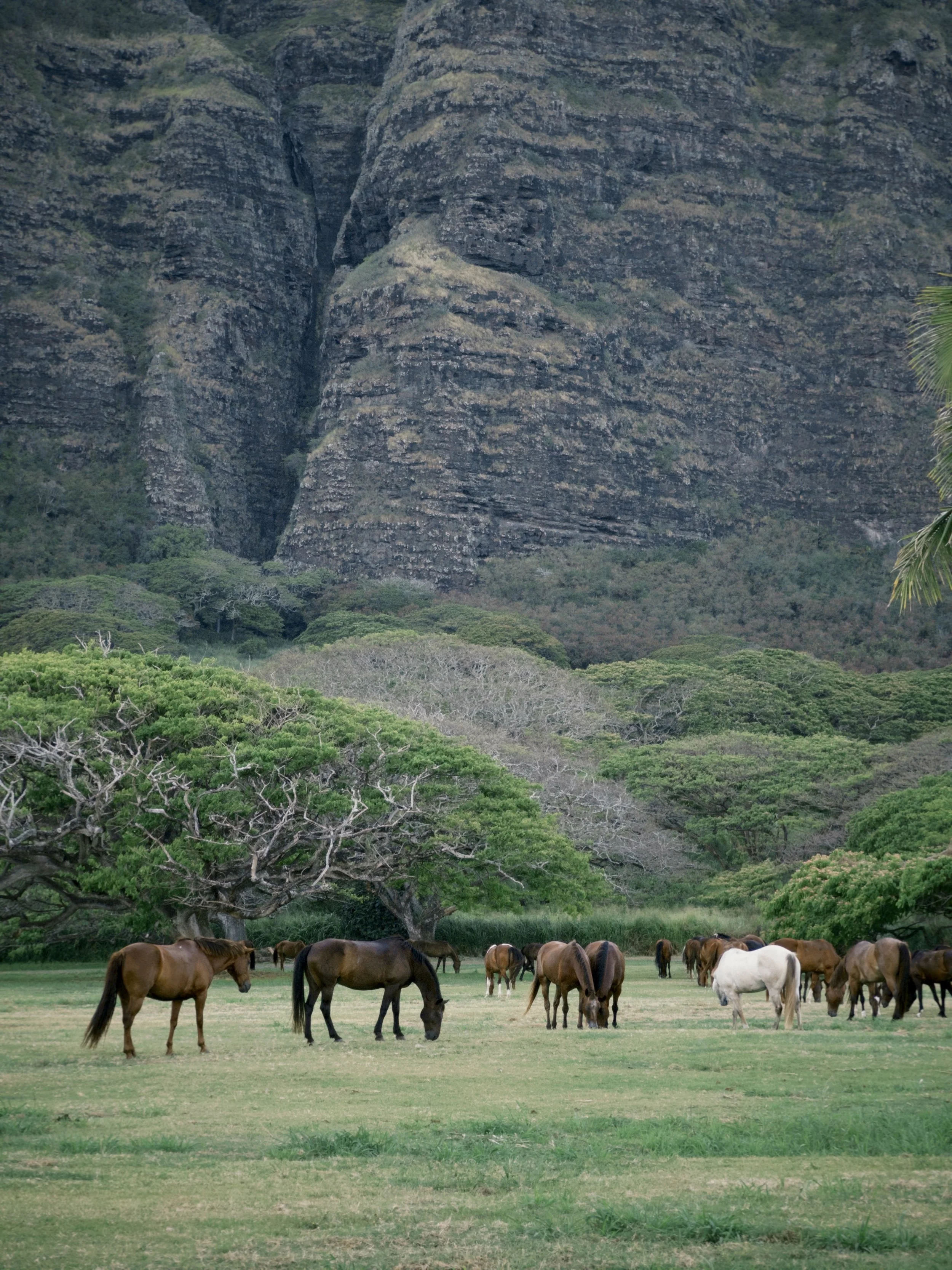 fxn 2025-06-03 175113.997.jpg