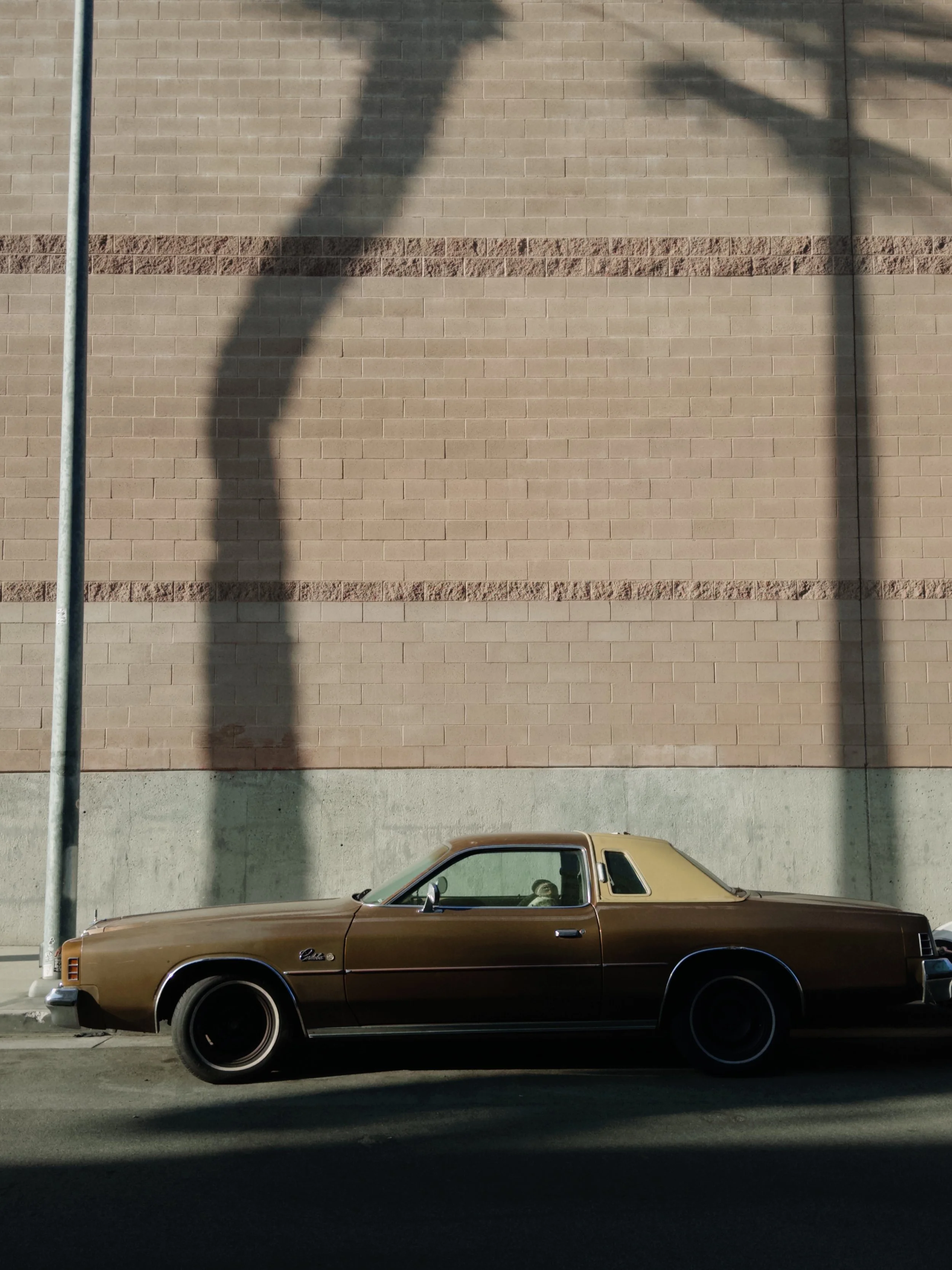 grdr 2025-09-30 165021.022.JPG