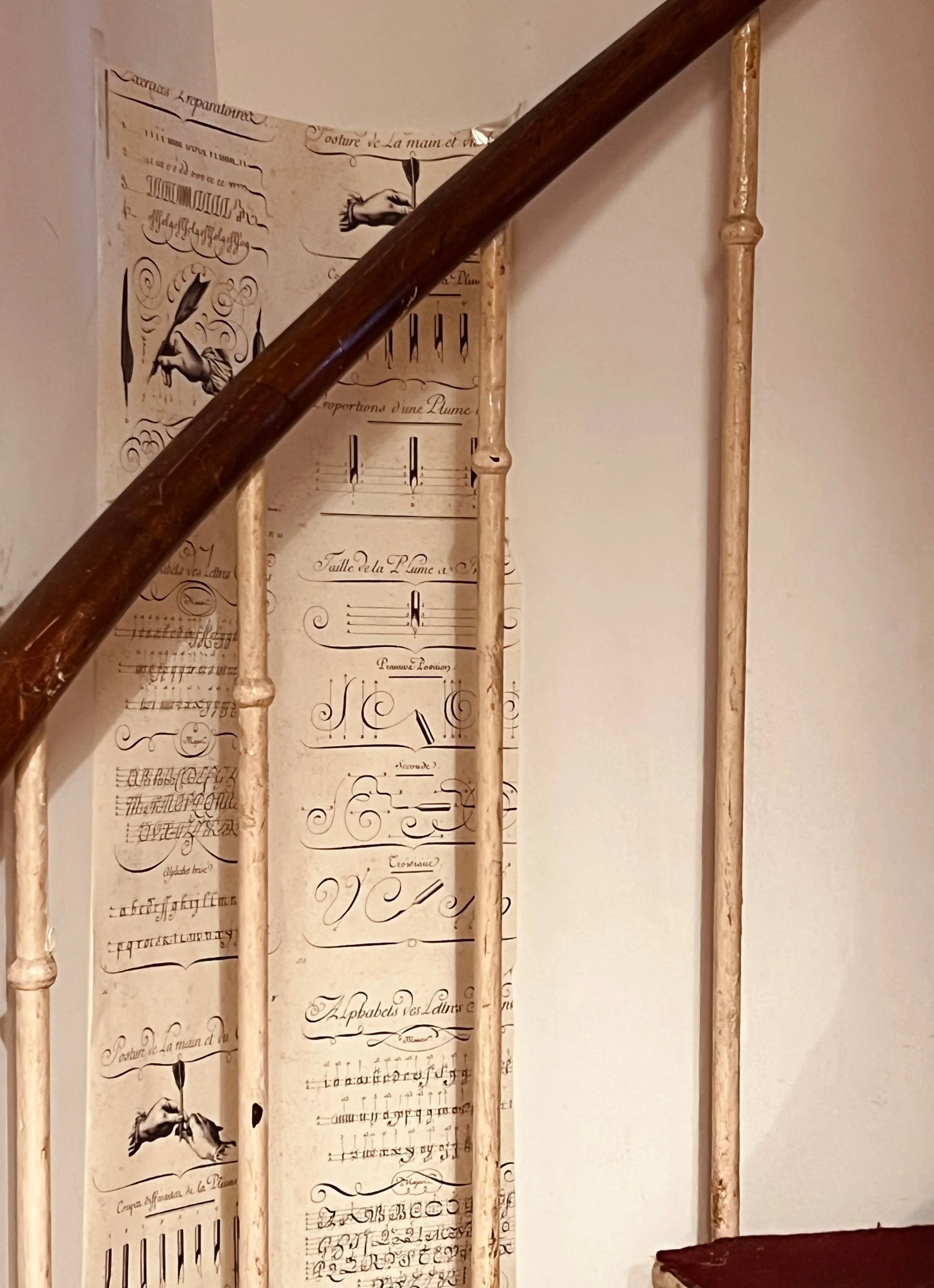 processed_Vertical 2.jpeg