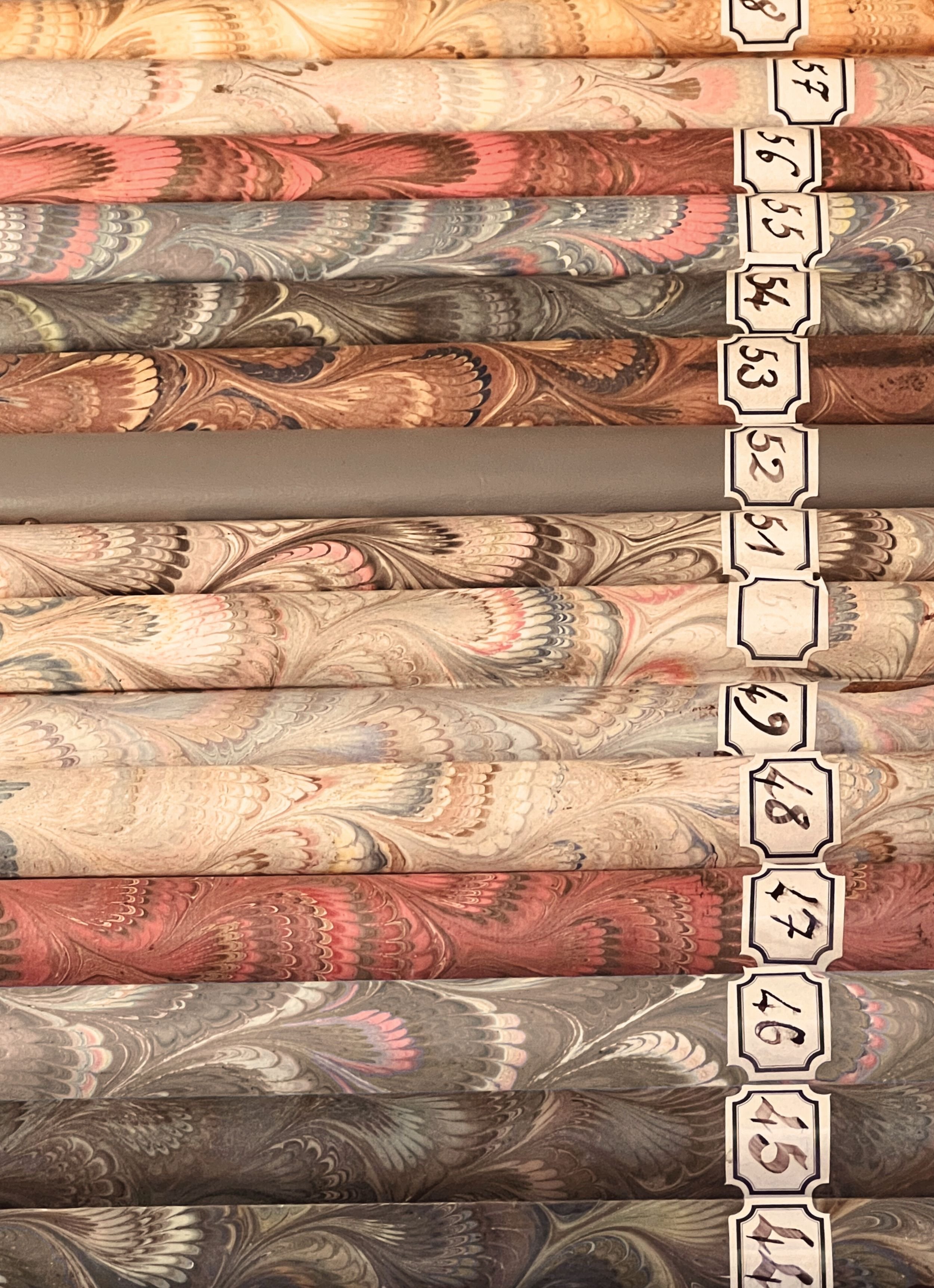 processed_Vertical 1.jpeg