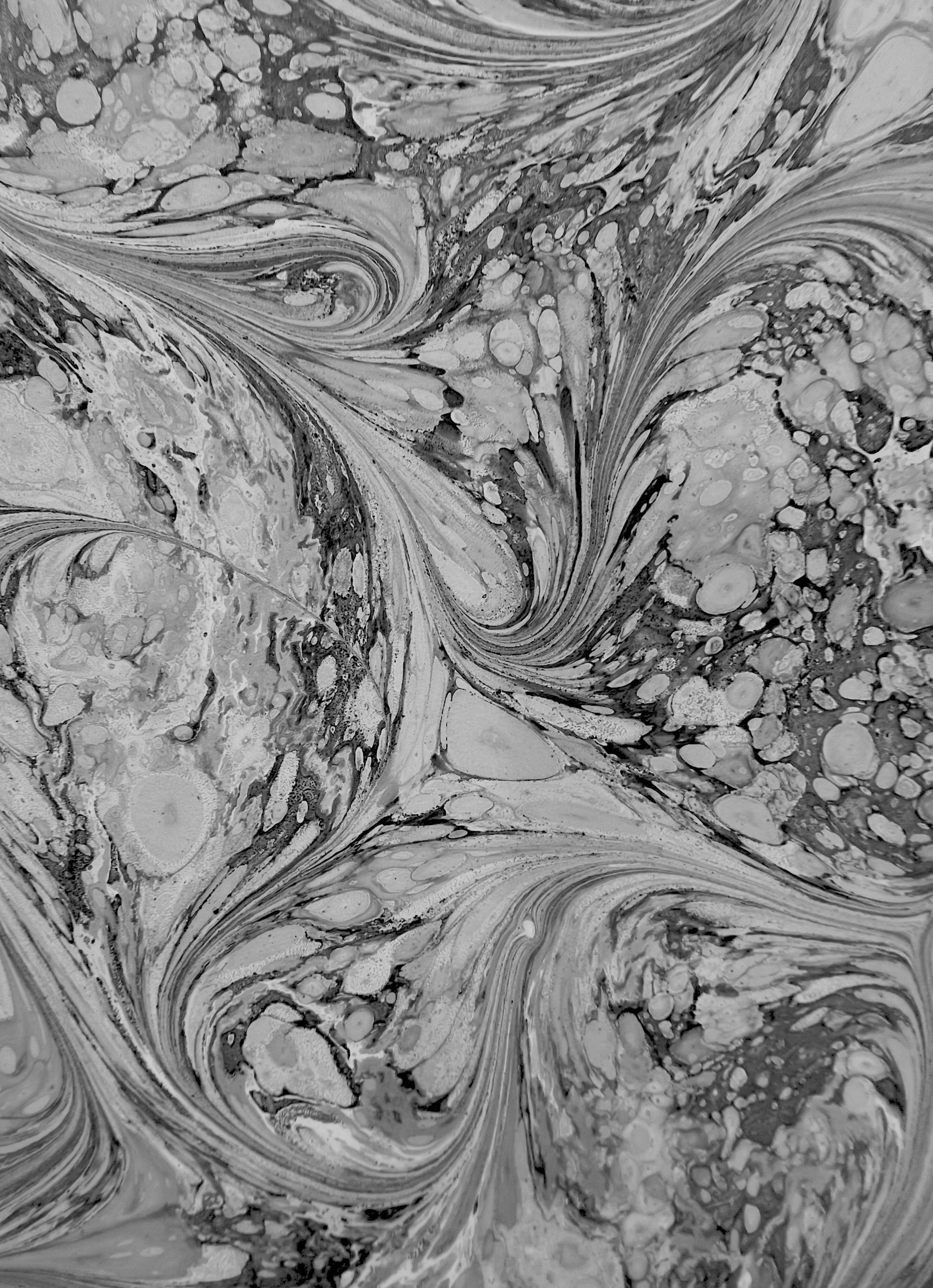 processed_Vertical 4.jpeg