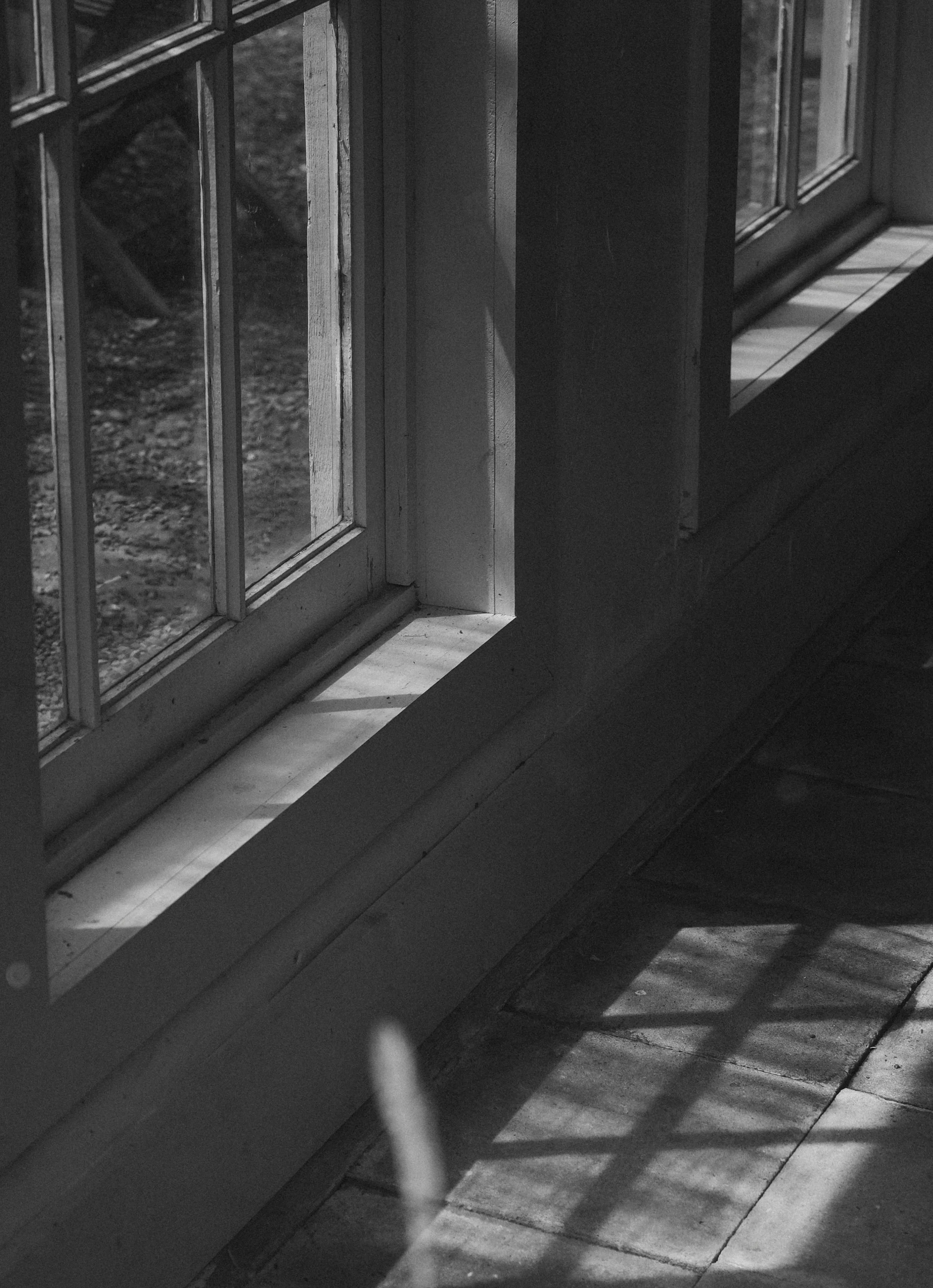 processed_Vertical 9.jpeg