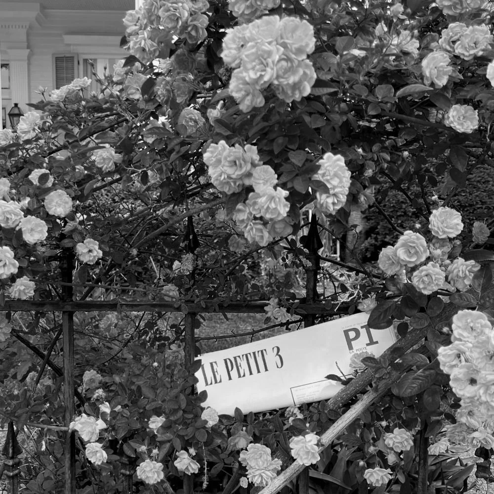 processed_Square 3.jpeg