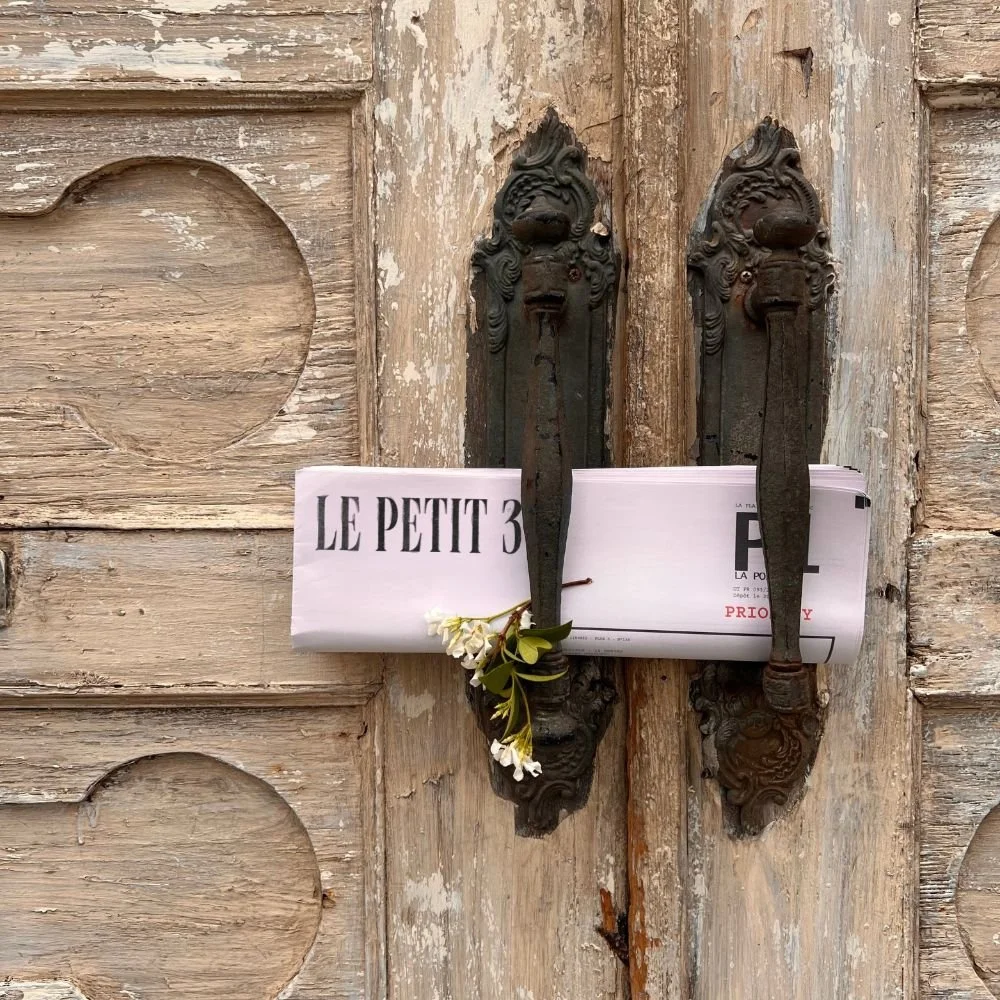 processed_Square 2.jpeg