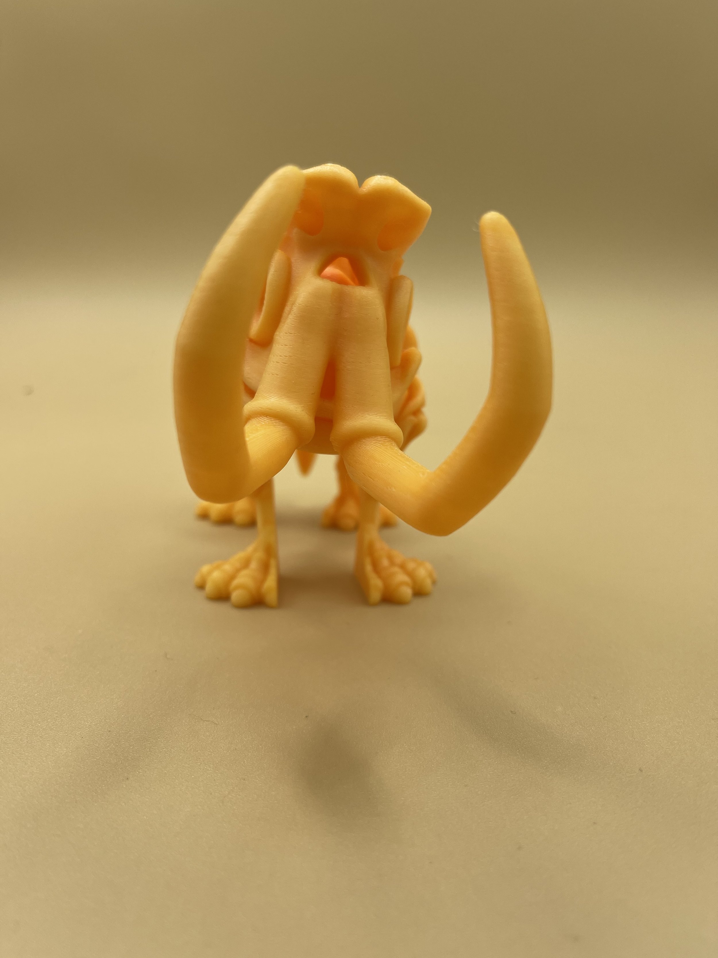 IMG_9715.jpeg