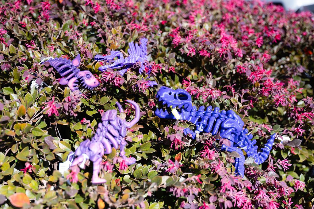 DSC_7306-Enhanced-NR.jpg