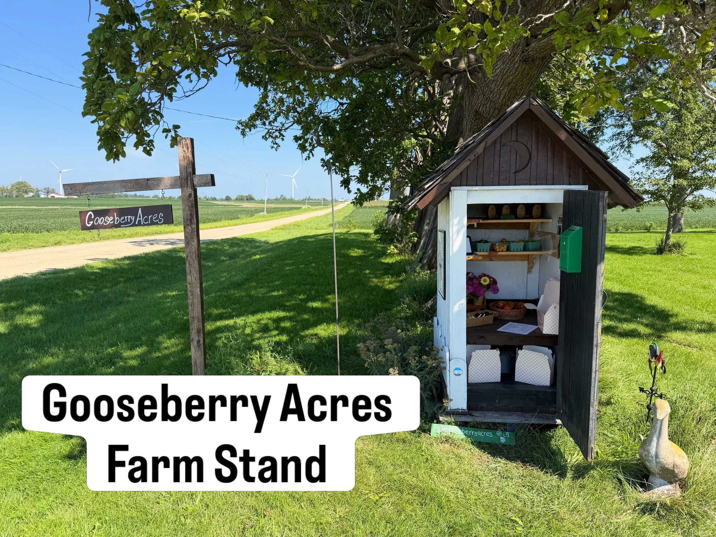 If you missed out on the Dwight Saturday Market yesterday, feel free to stop by the @gooseberryacres farm stand. Just enter "Gooseberry Acres Farm Stand" into Google Maps and it will take you right to us. 

You can pull your car into our dr