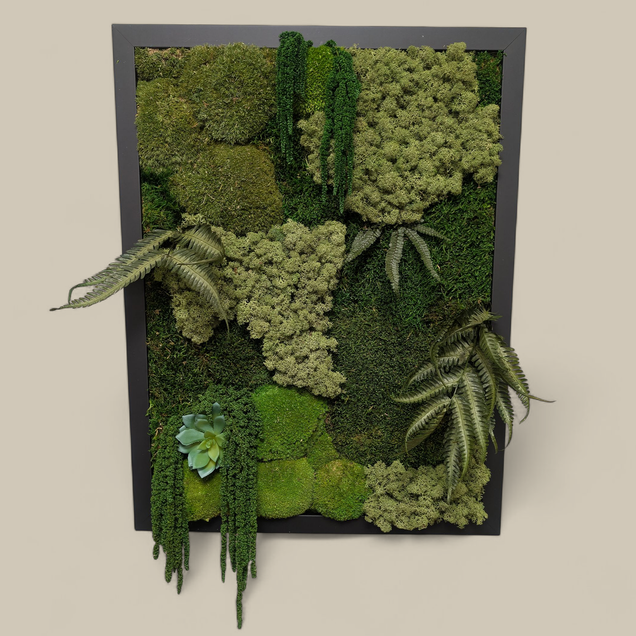 5914.png