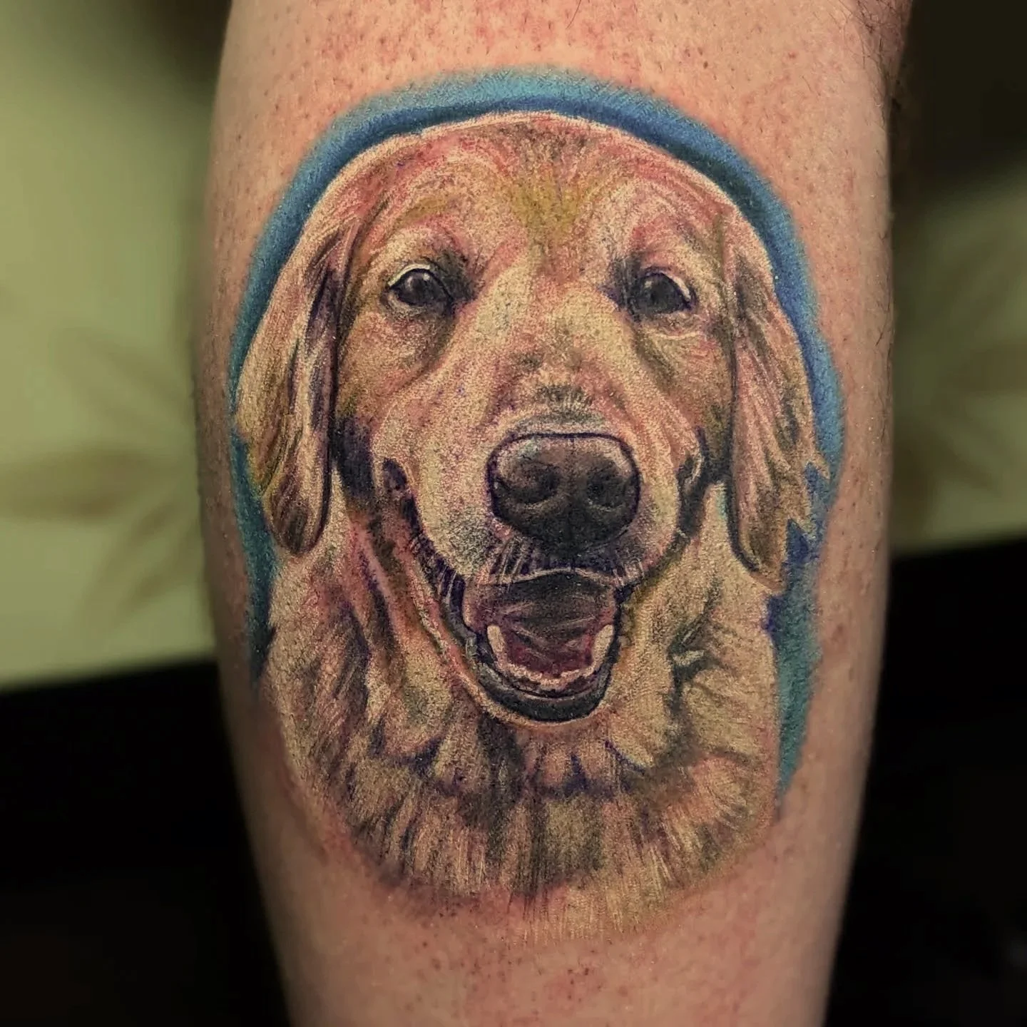 Honoring Them in Ink: Pet Memorial Tattoos