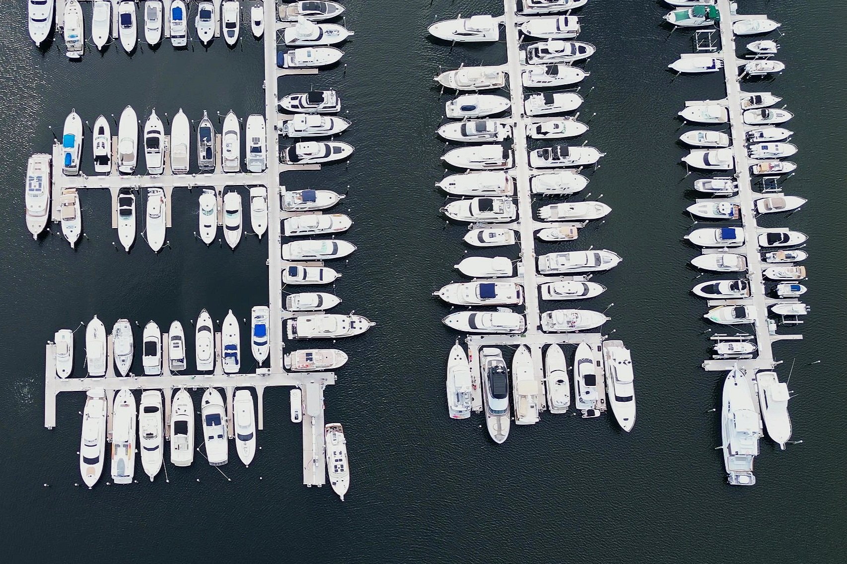DJI_0302+-+frame+at+4m39s.jpg