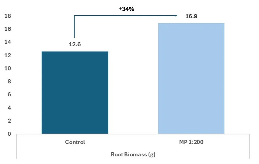 November 2025 Update