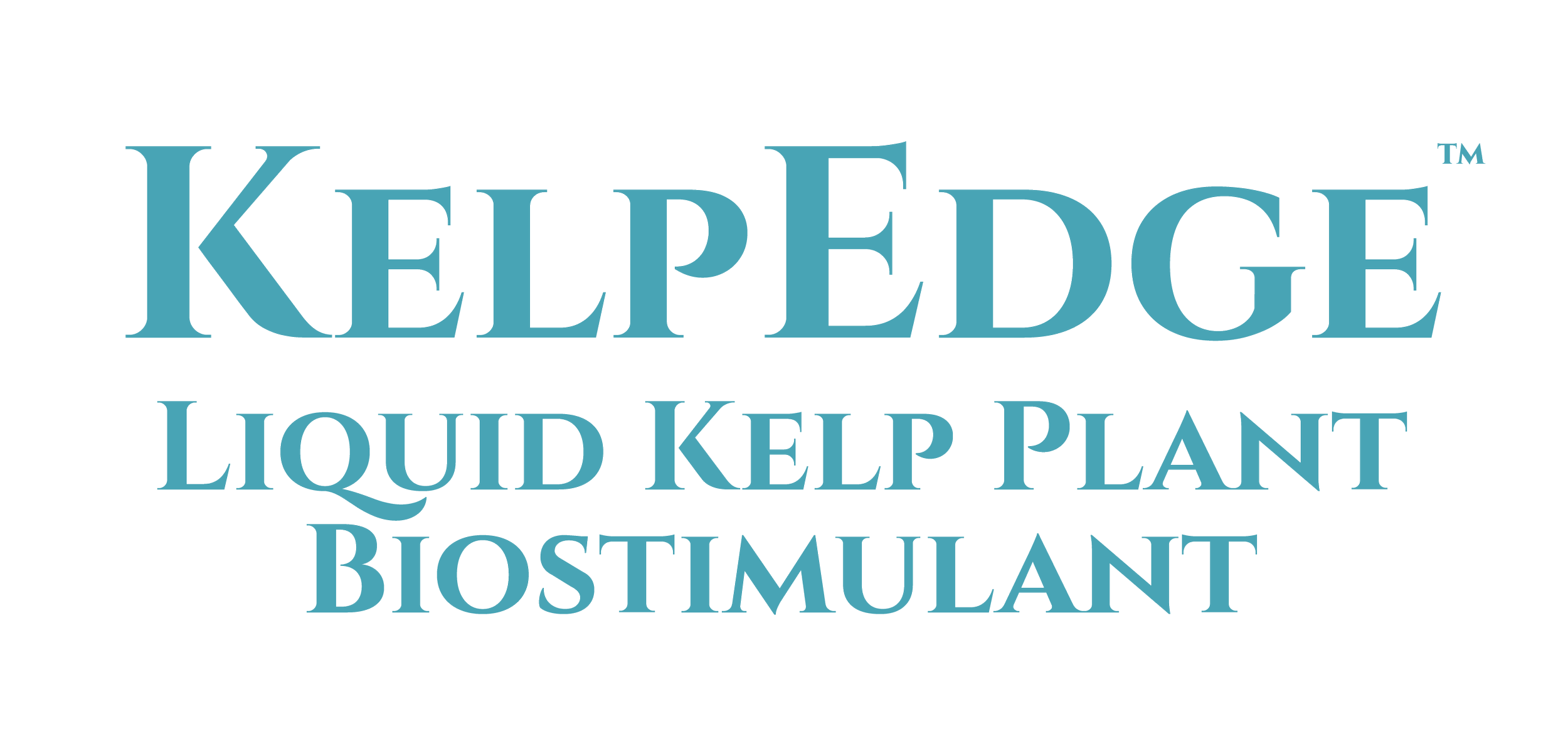 KelpEdge-02 (1).png