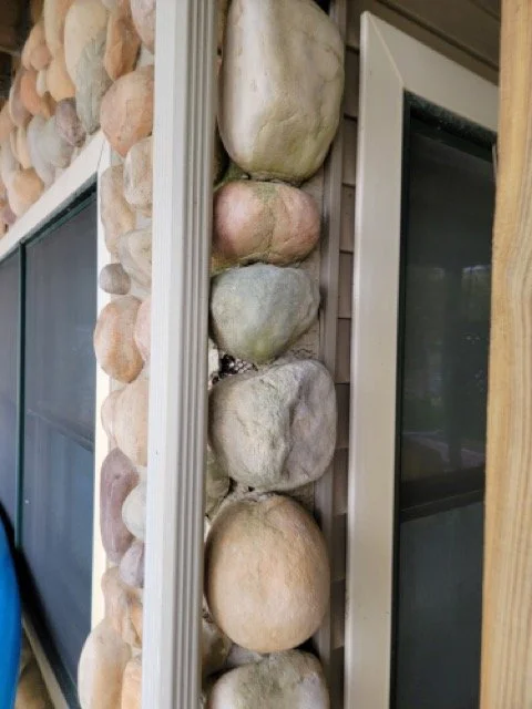 20230503_115000 .jpeg