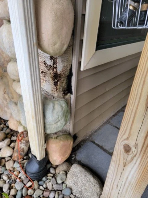 20230503_114957 .jpeg