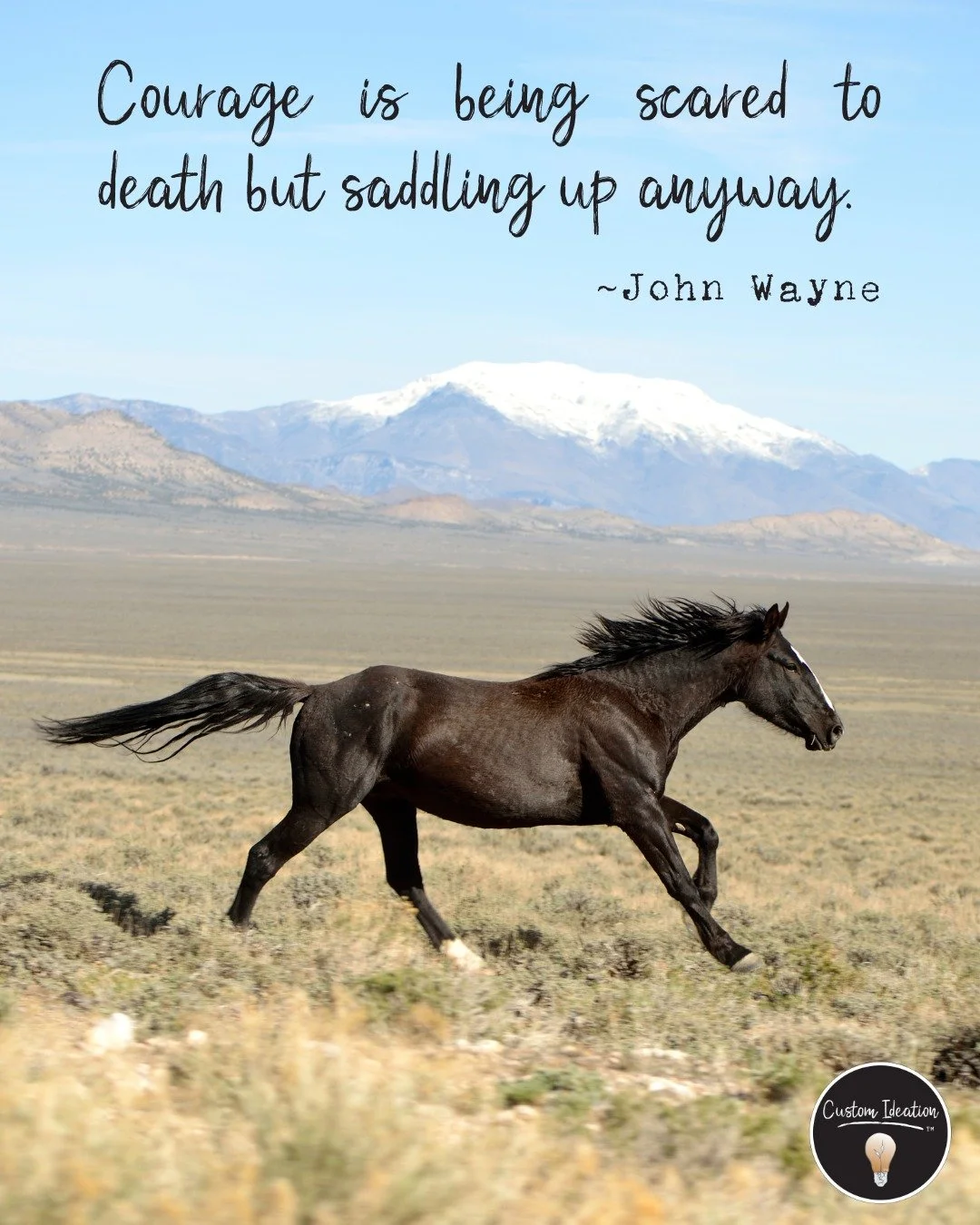 Every bold move starts with a little courage.

Here&rsquo;s to saddling up, taking risks, and building the business you believe in, step by step. ✨

#CustomIdeation #SmallBusiness #BusinessMarketing #MarketingSupport #Entrepreneurship