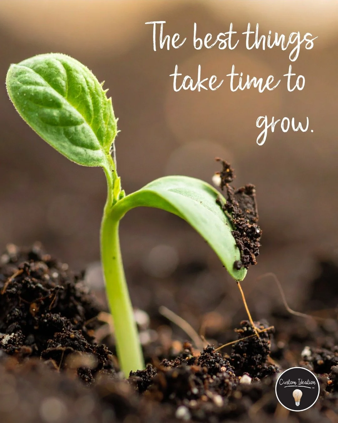 We live in a world that celebrates the overnight success, the viral moment, the six-figure launch. And those things are real. But they're not the whole story.

Most of the businesses we admire? They were built quietly. Slowly. Through seasons of show