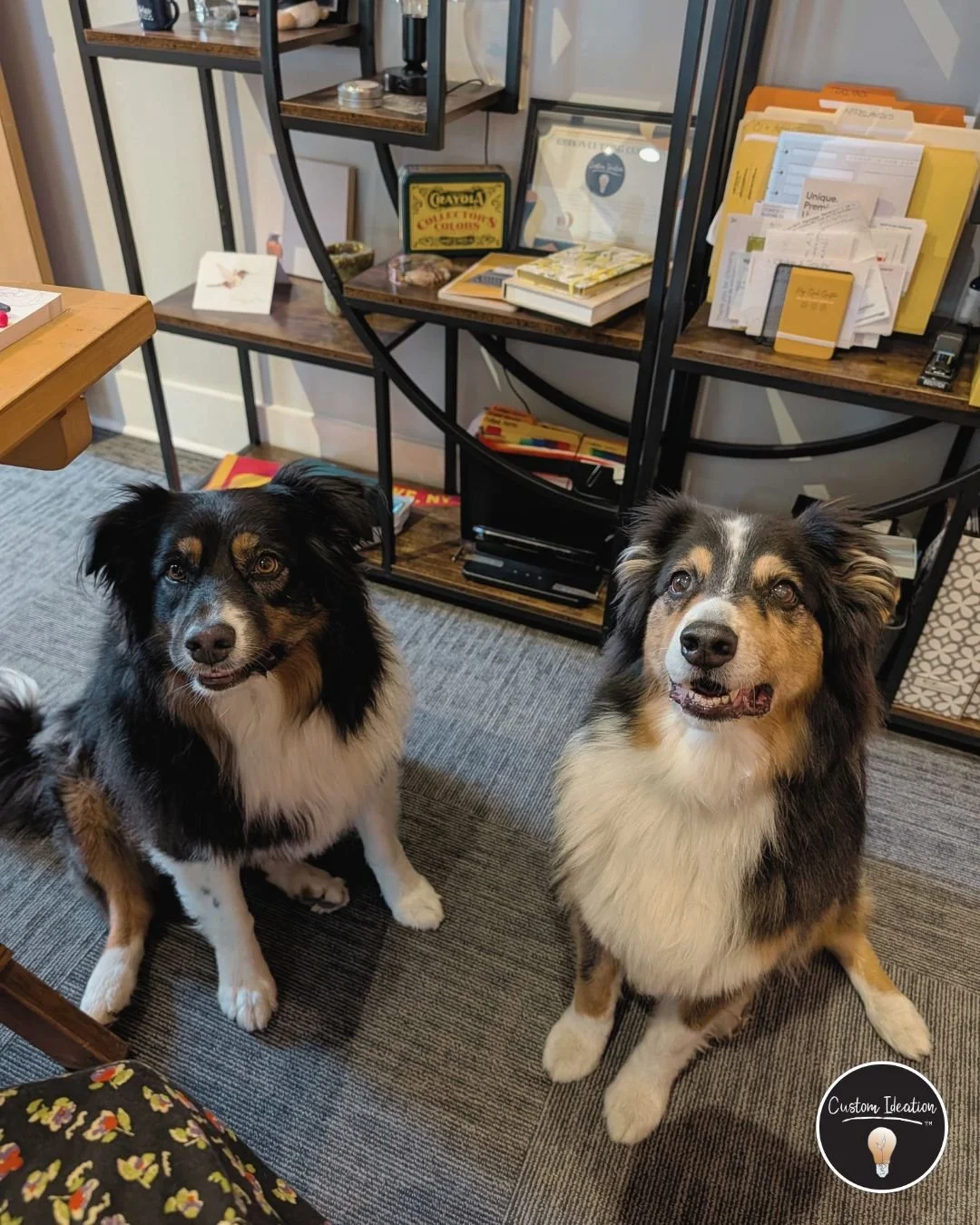 What the meeting agenda said: &ldquo;Bring your best ideas to the table&rdquo;.

What these two heard: &ldquo;Bring treats&rdquo;. 🐾 😂

Yesterday&rsquo;s office crew took collaboration very seriously- good attitudes, excellent listening skills (whe
