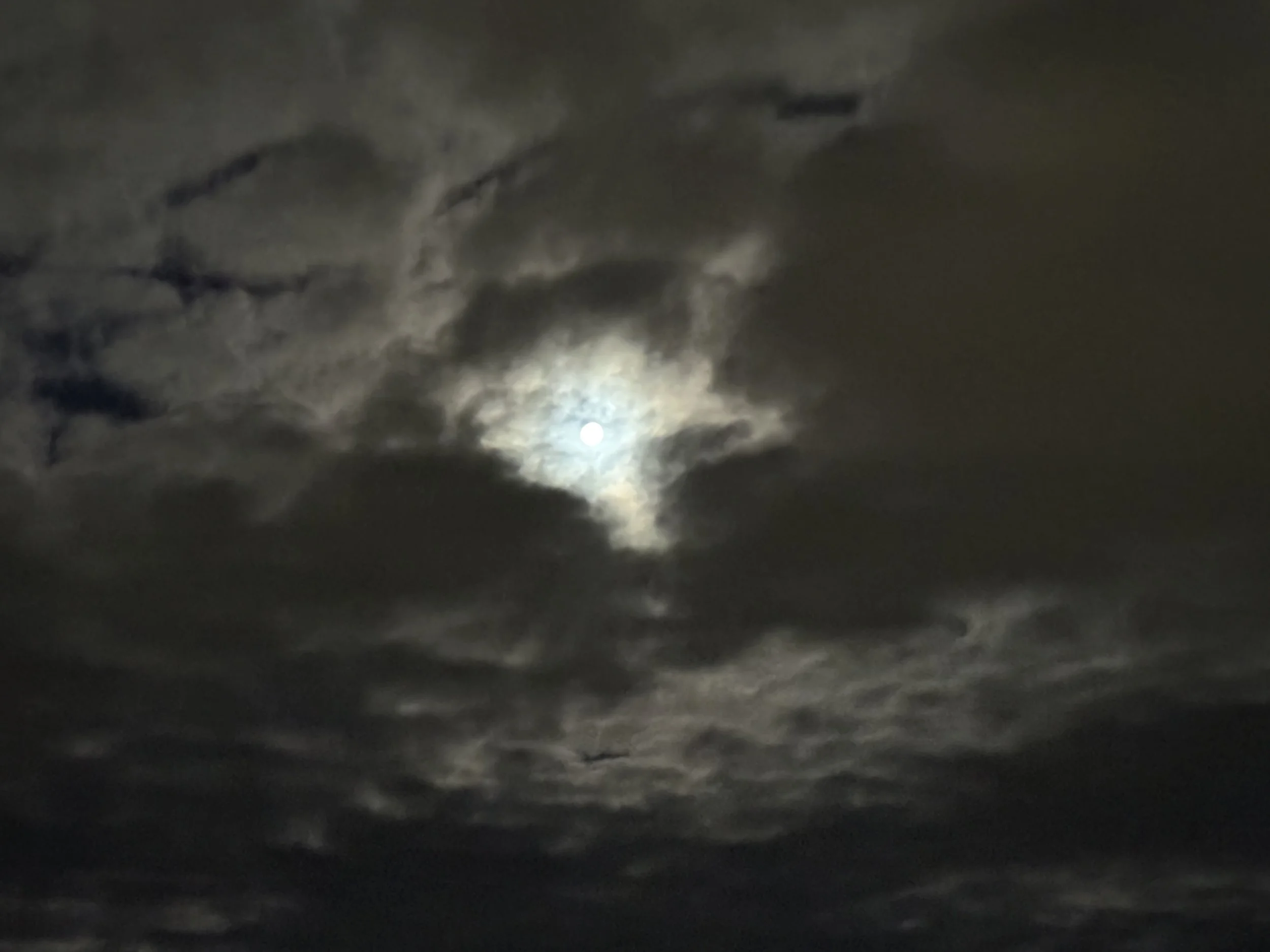 Melancholy Moonlight