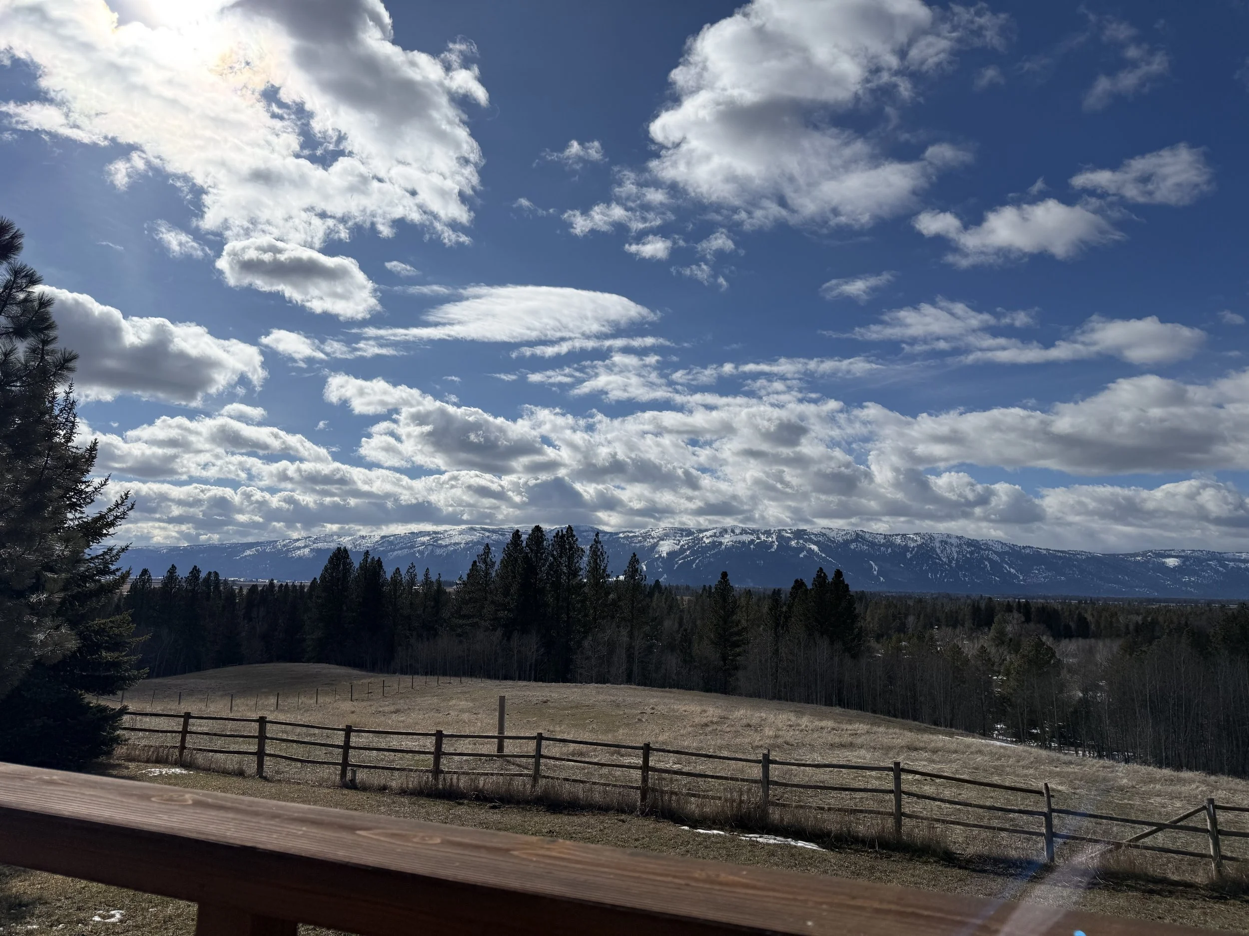 Desperately the Same