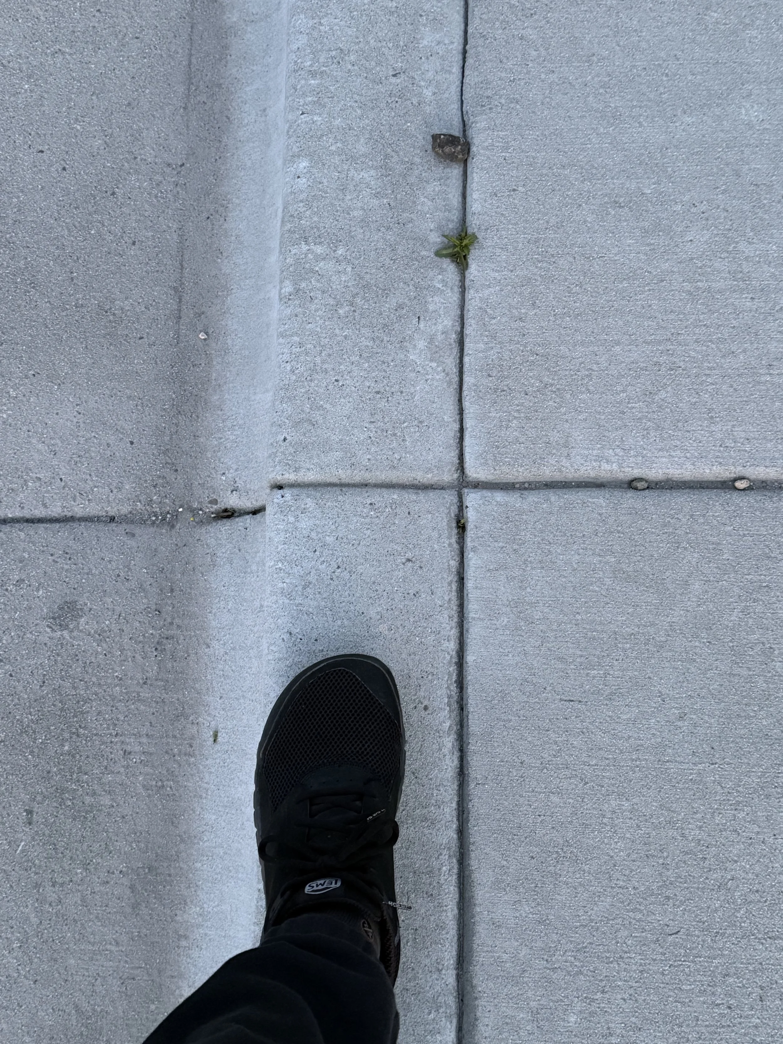The Cracks