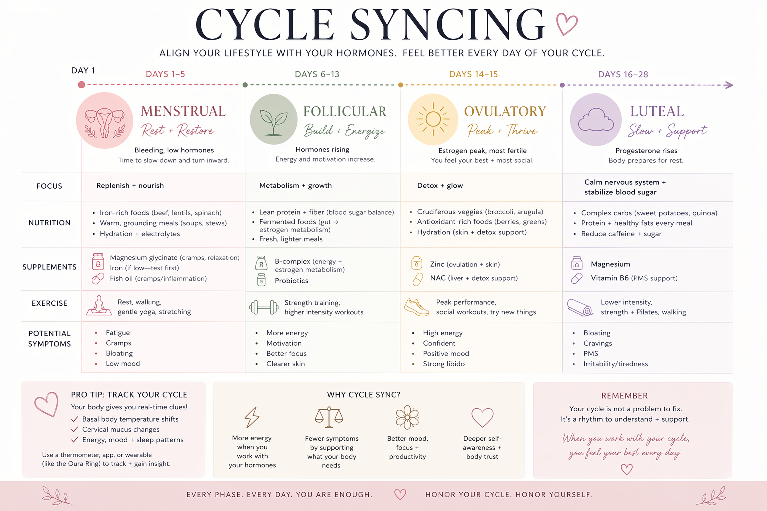 Cycle Syncing: The Missing Piece to Understanding Your Body