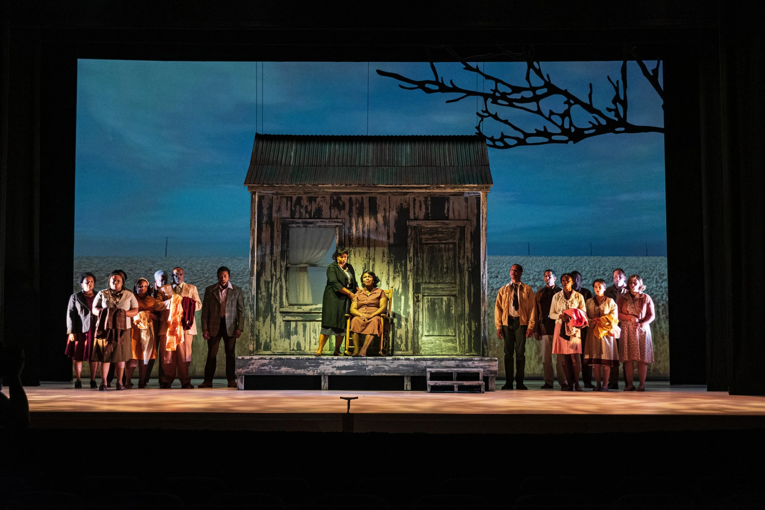 THIS LITTLE LIGHT 5.JPEG